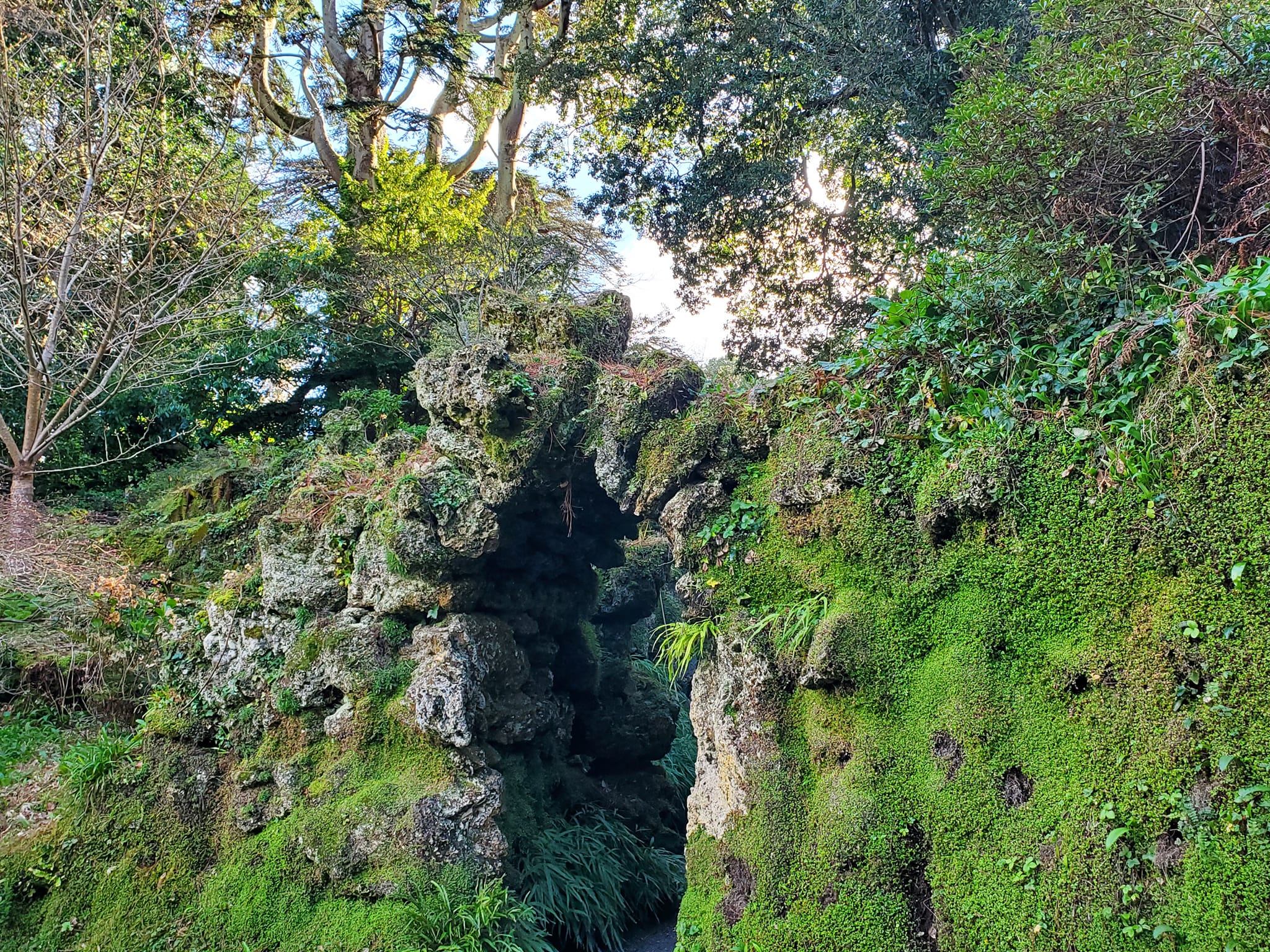 433431033_907025271200247_8996110154776412901_n