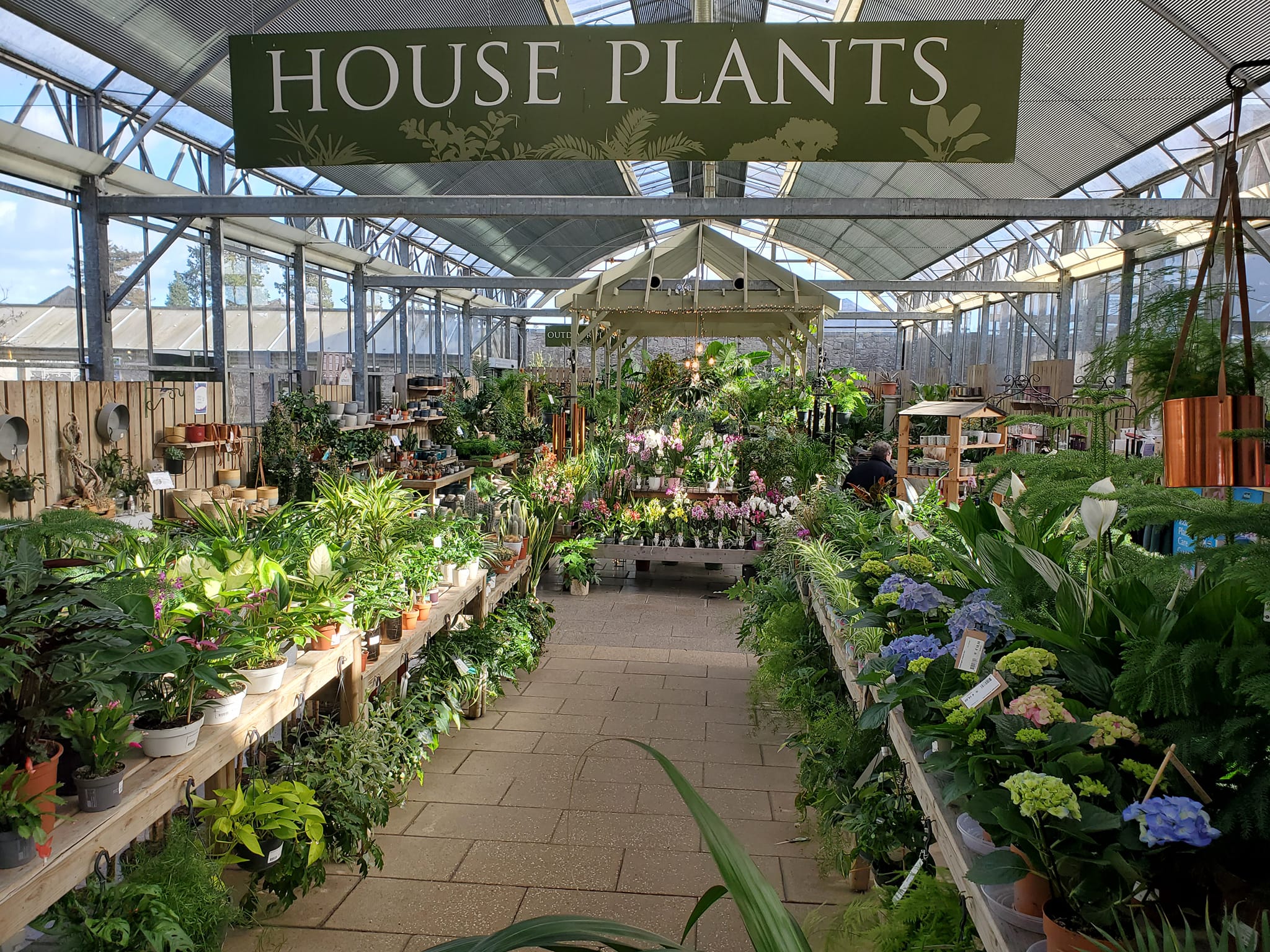 433439859_907026321200142_1169903960603120713_n