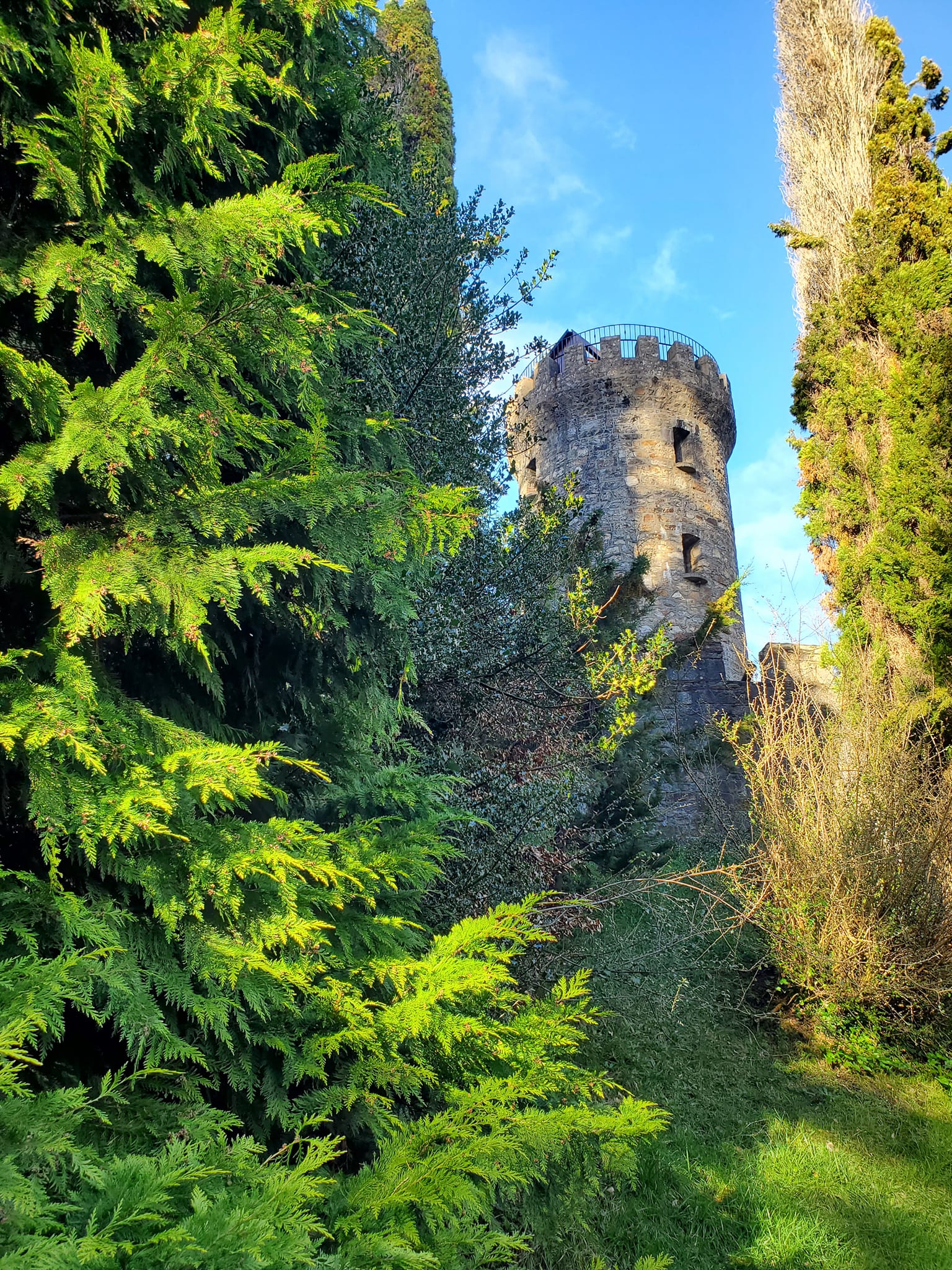 434130162_907026021200172_9162433903263742729_n