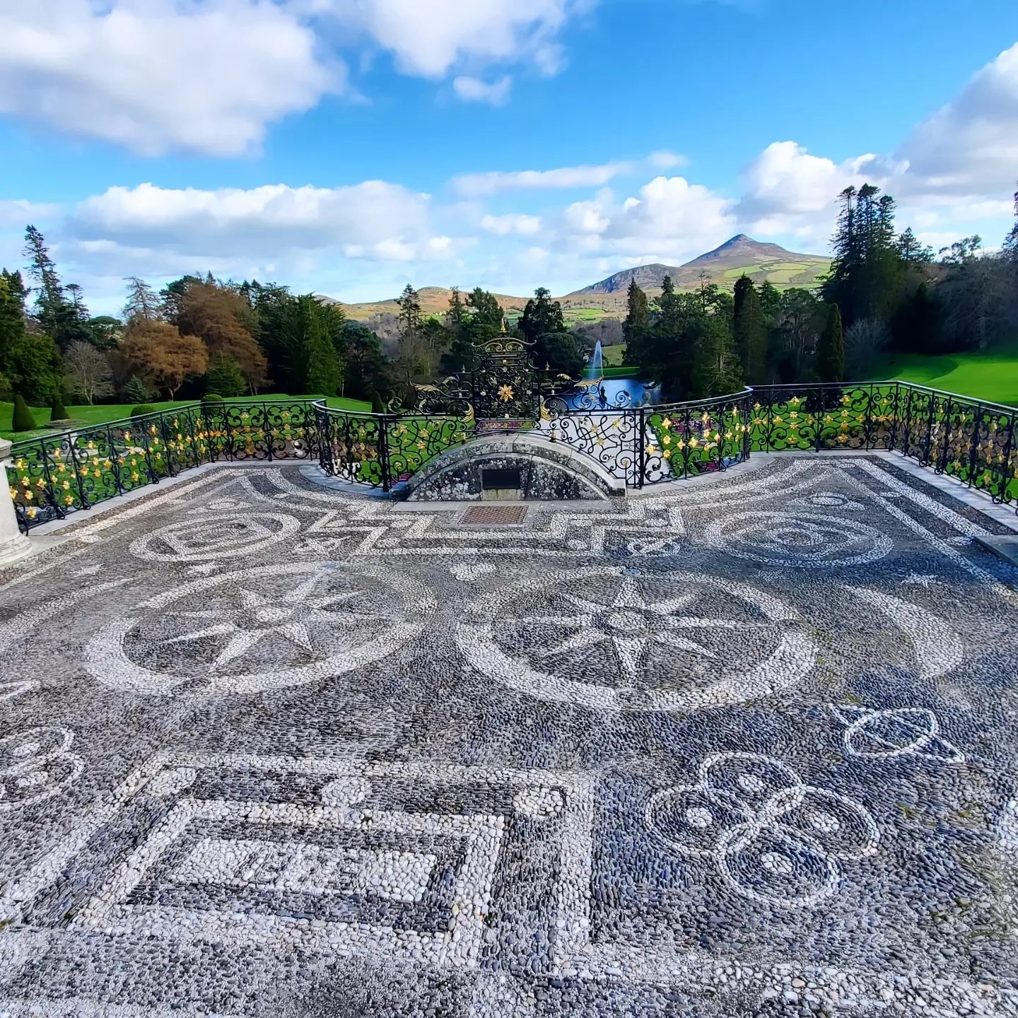 a432579693_903623608207080_2102844719323879407_n