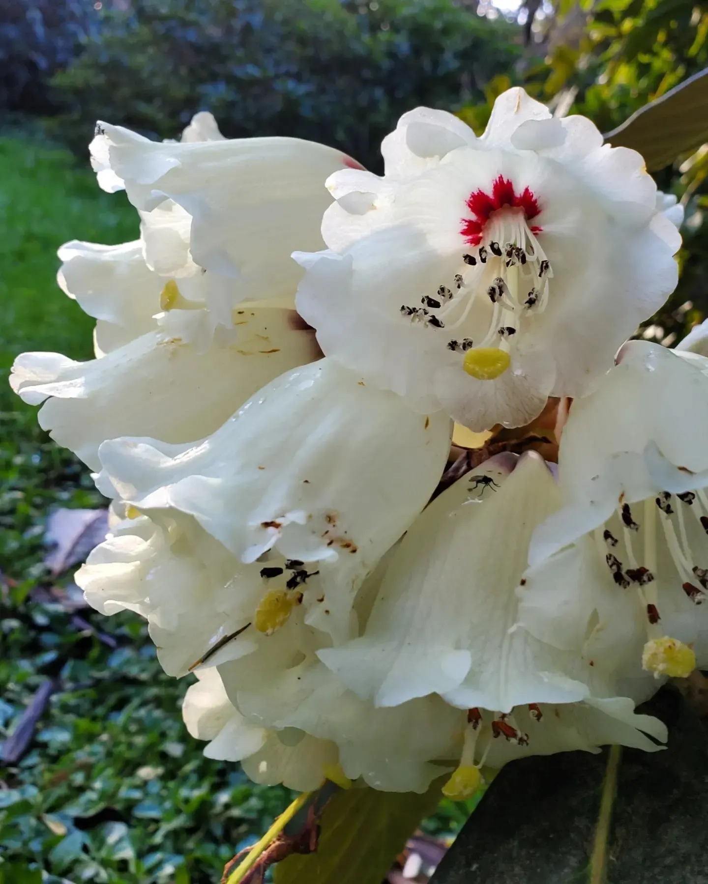 a432589383_903625671540207_8378661408391417193_n