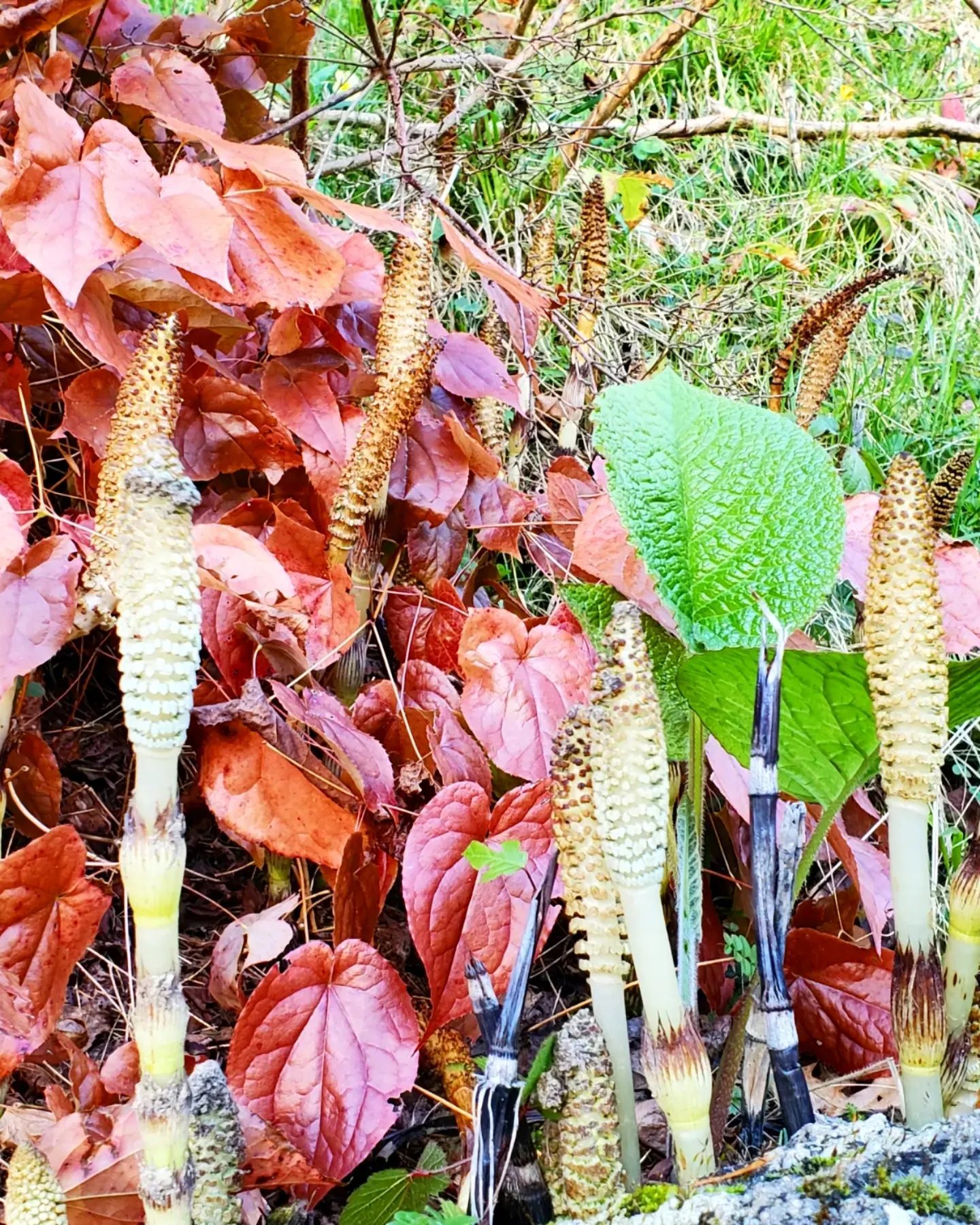 a432593607_903625684873539_5231136226639438286_n