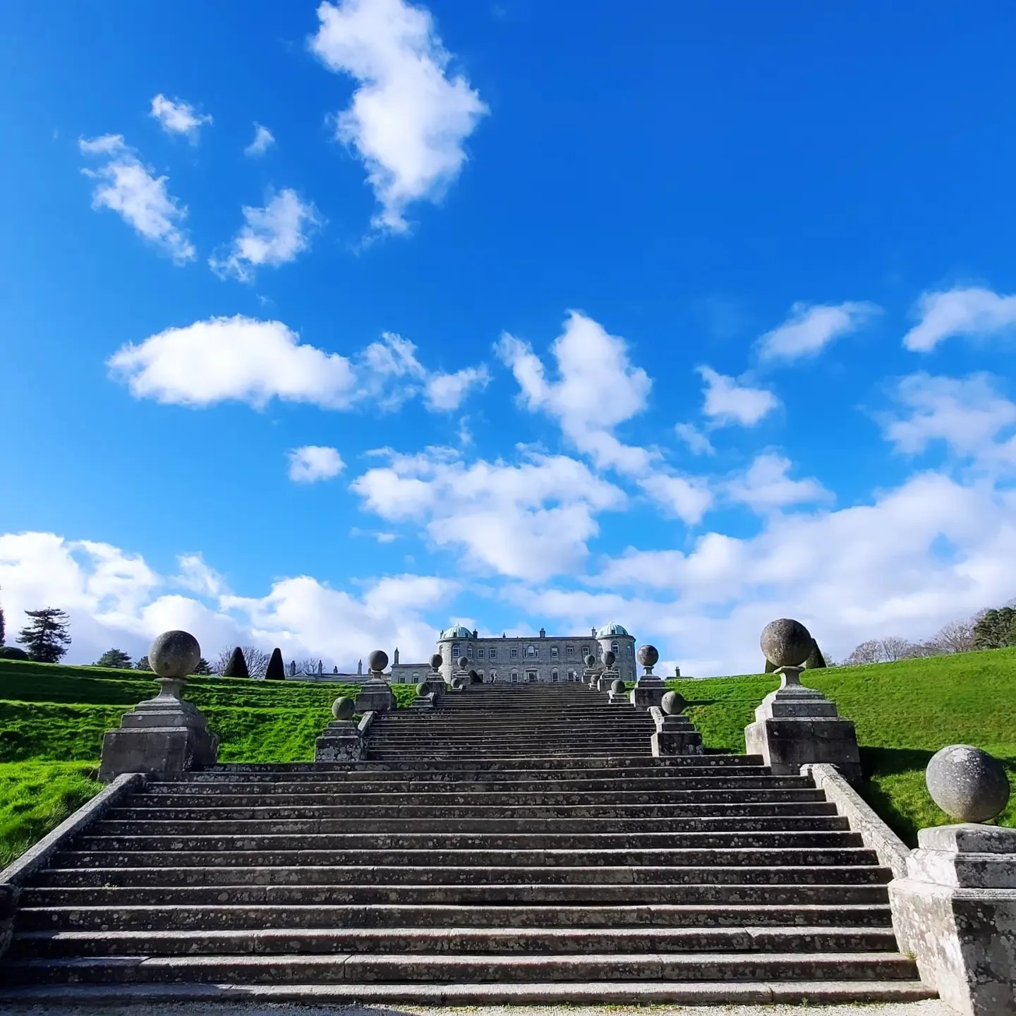 a432602324_903623624873745_8458613320038548541_n