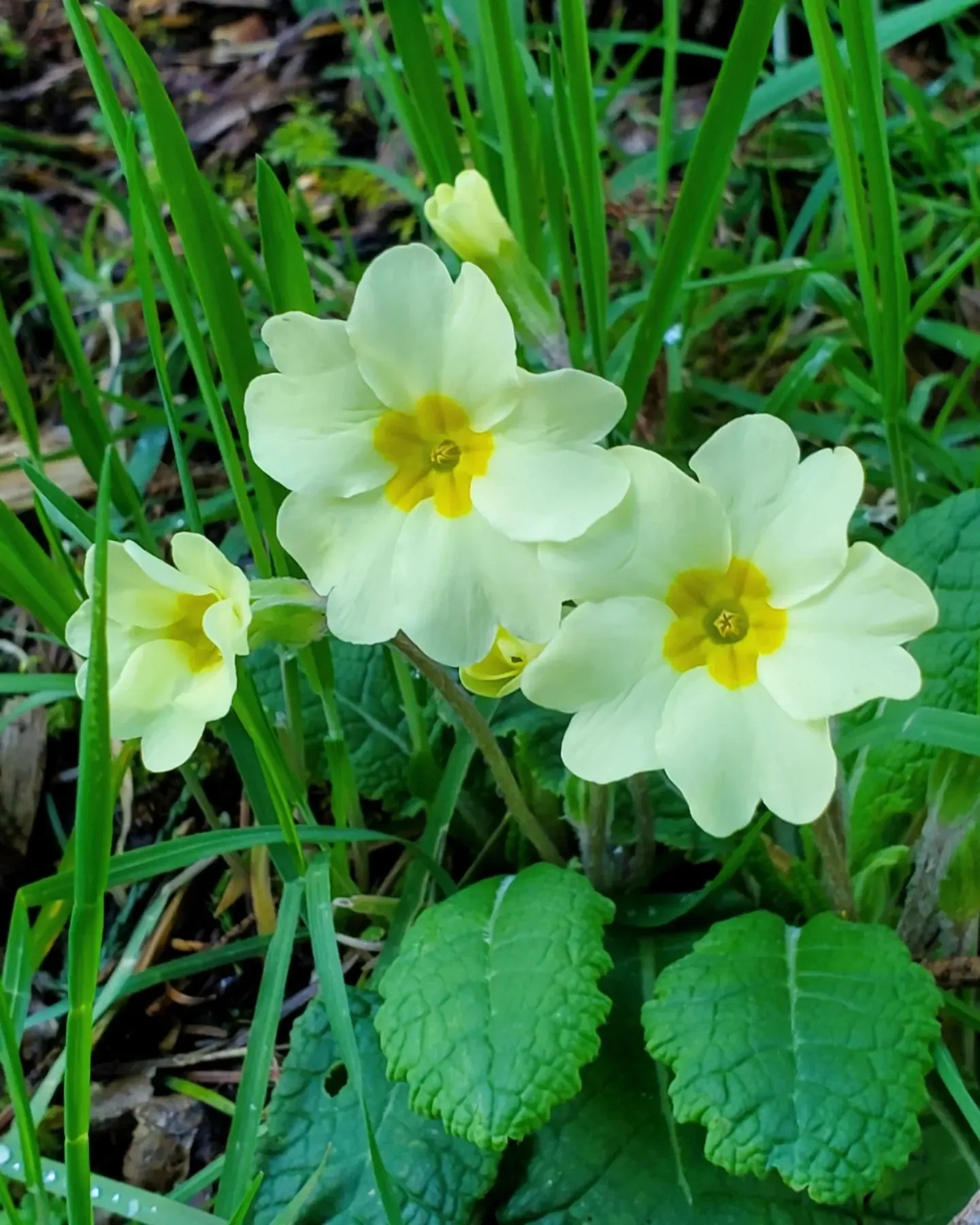 a432605824_903625678206873_6238974664307651541_n