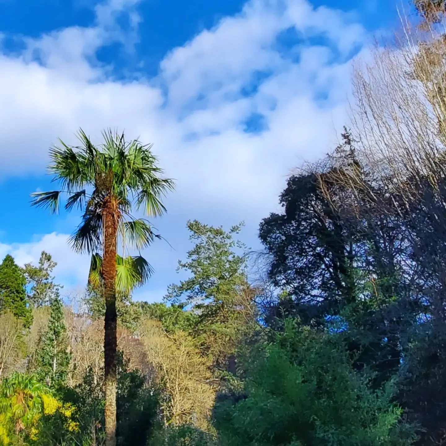 a432624240_903624894873618_917186398885152559_n