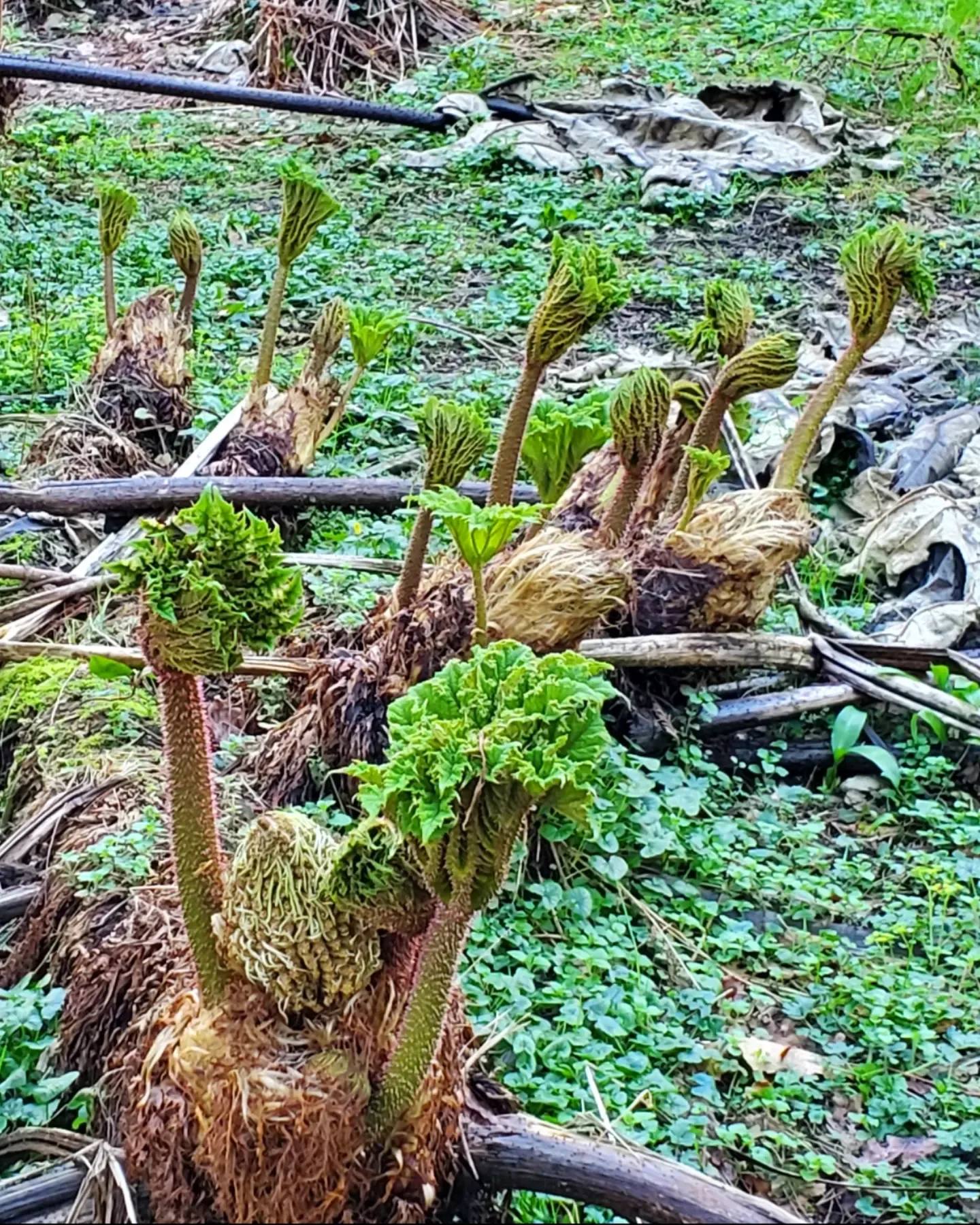 a432668451_903625698206871_1889587615415139607_n