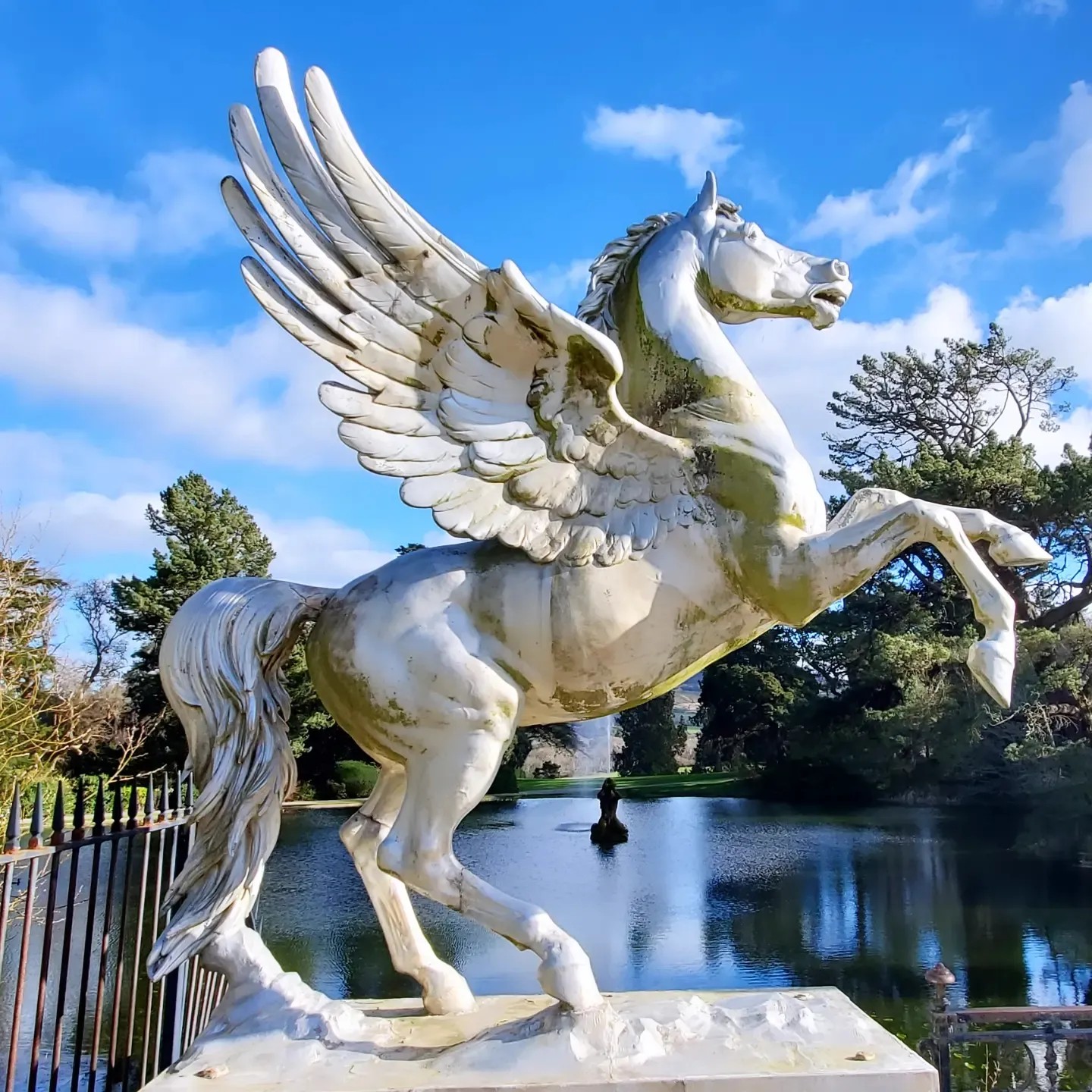 a432732672_903623621540412_7524709193007185126_n