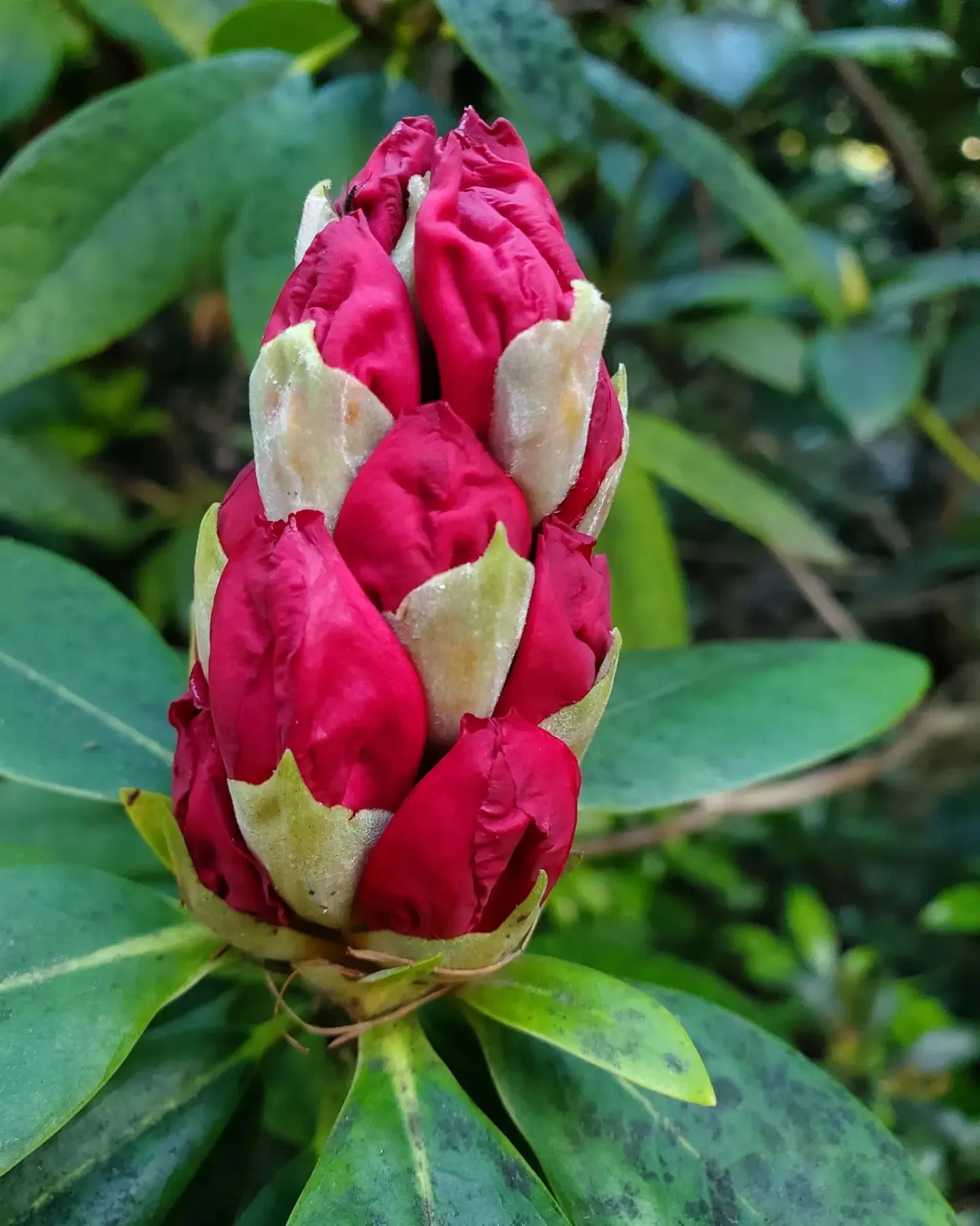 a432987677_903625688206872_6183412185311978259_n