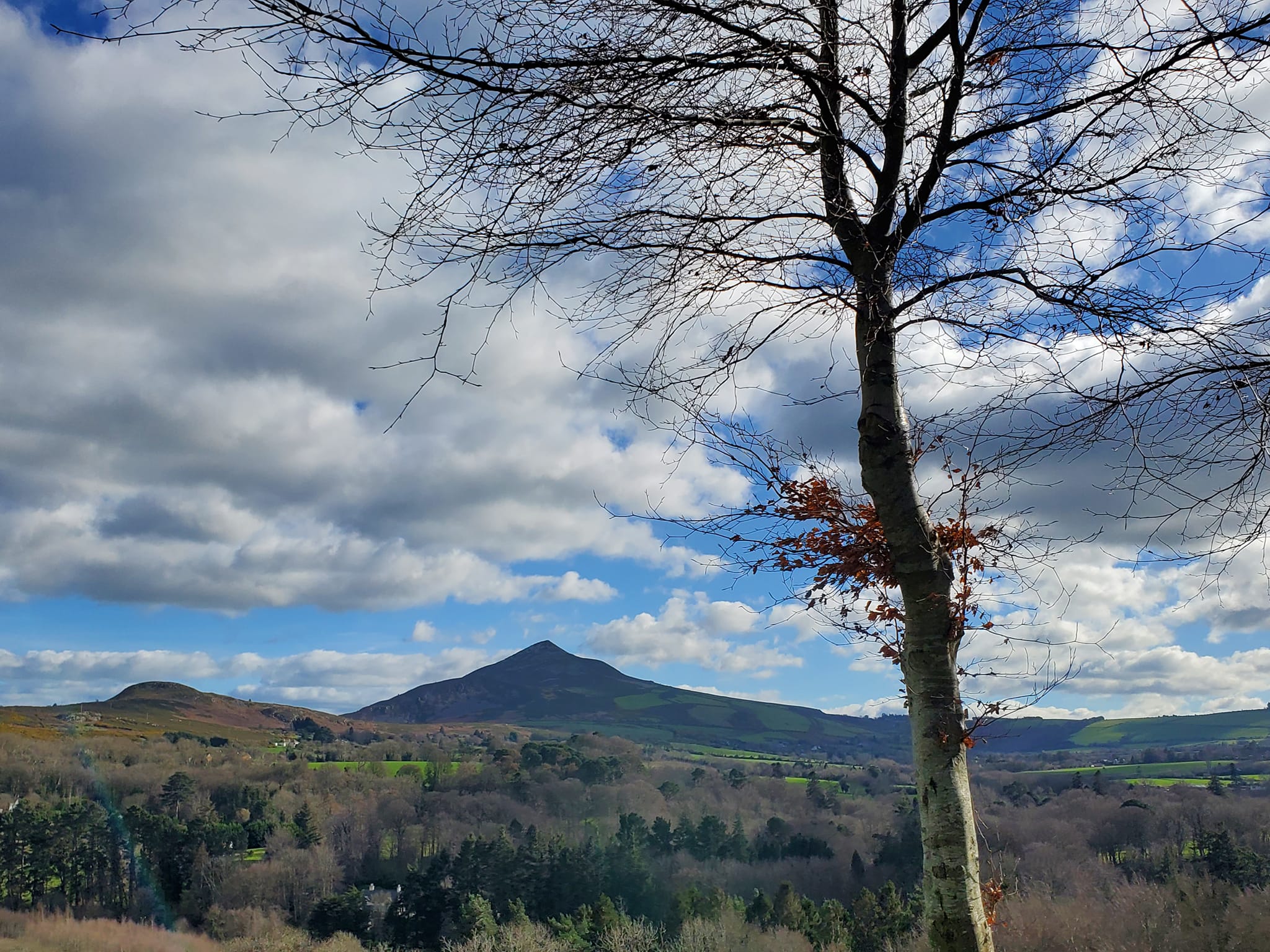 432468656_907025591200215_4744196049511800470_n