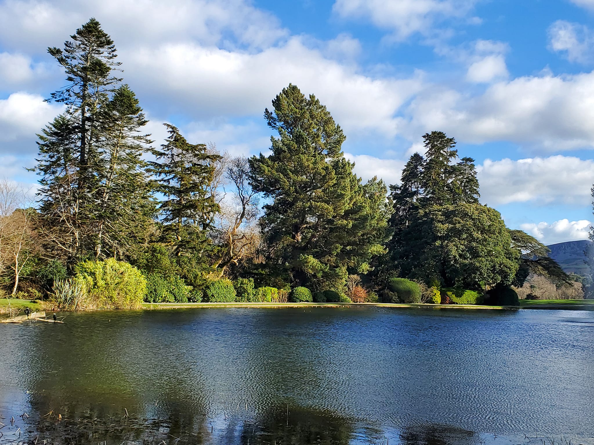 432918856_907024144533693_811413142402141867_n