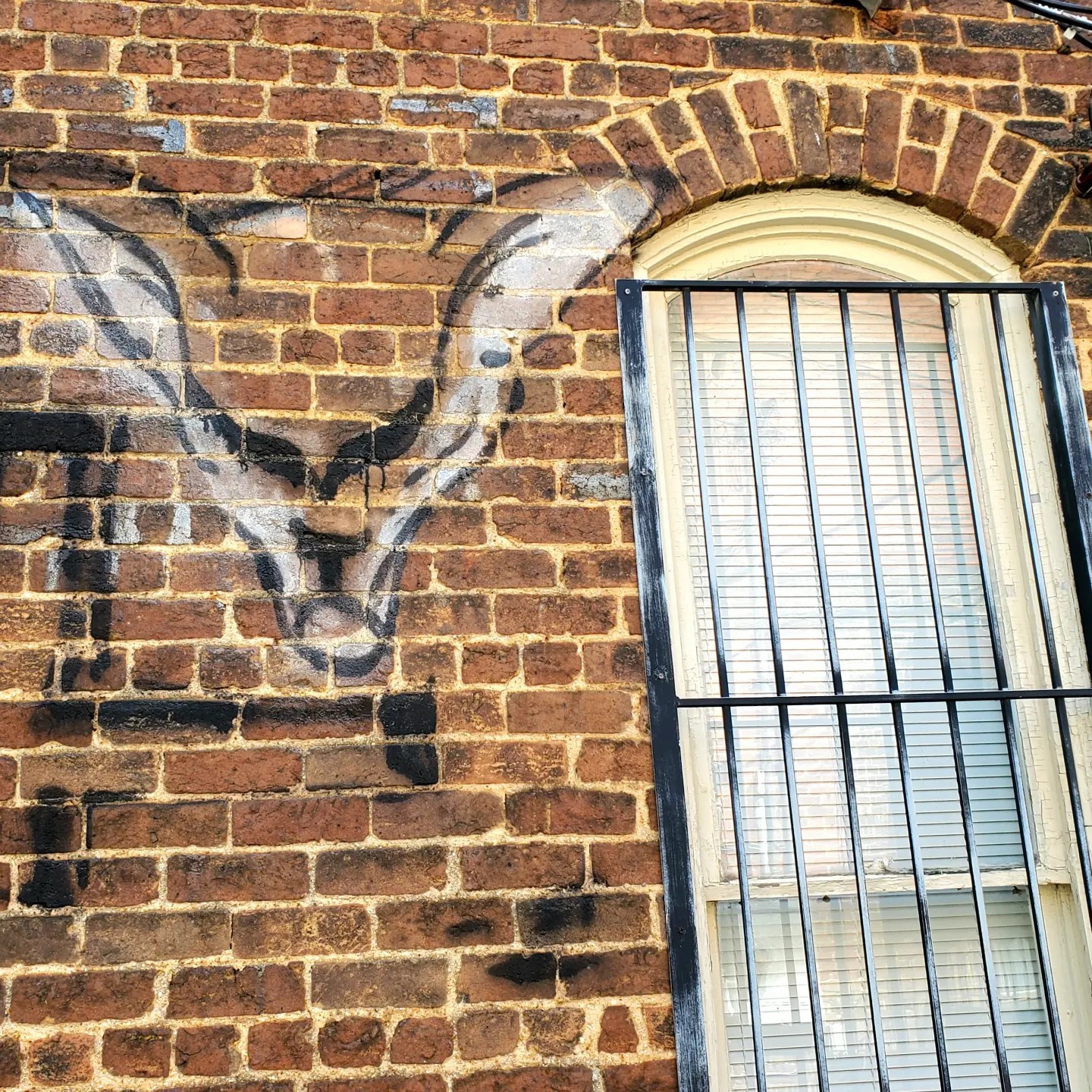 433403069_911328057436635_2571317252450536132_n