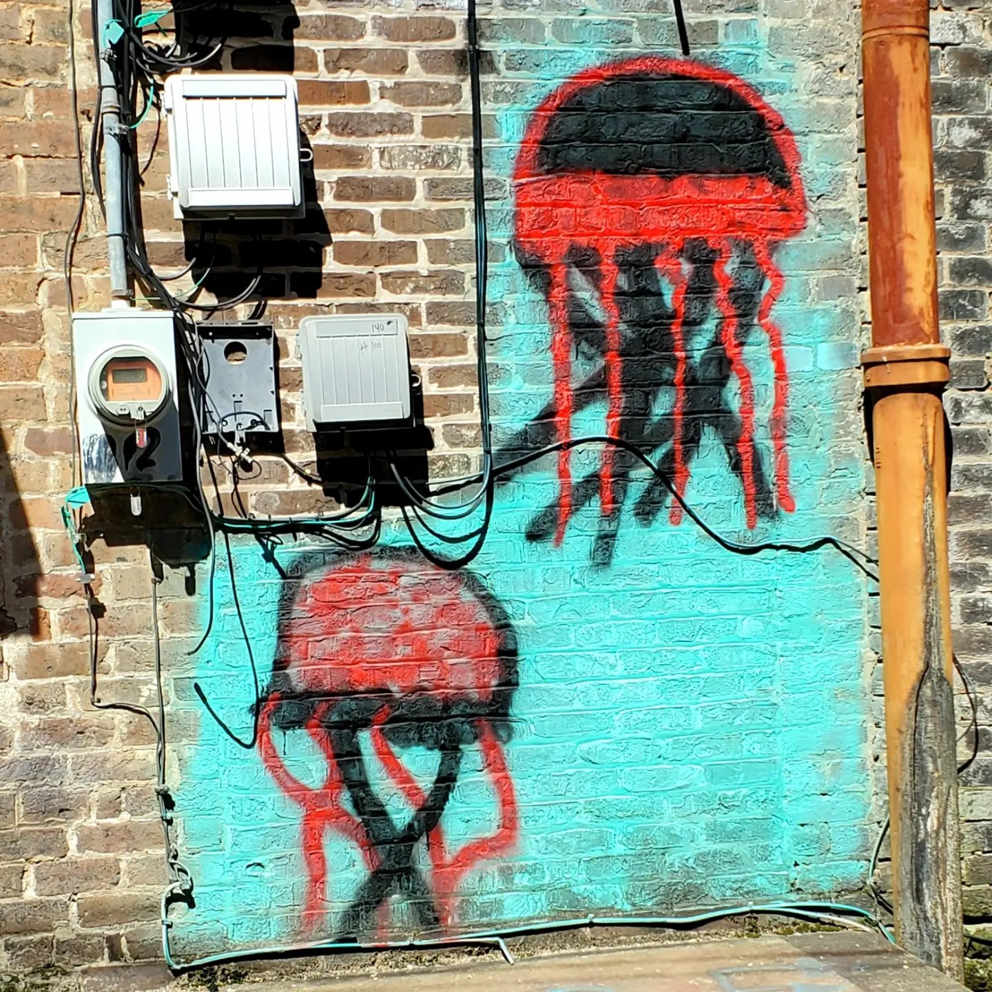 434335270_911328060769968_3292850333504821085_n