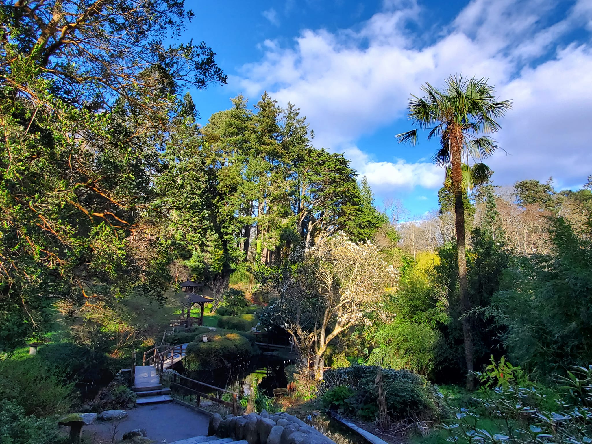 434847869_913093427260098_5168299207285154325_n