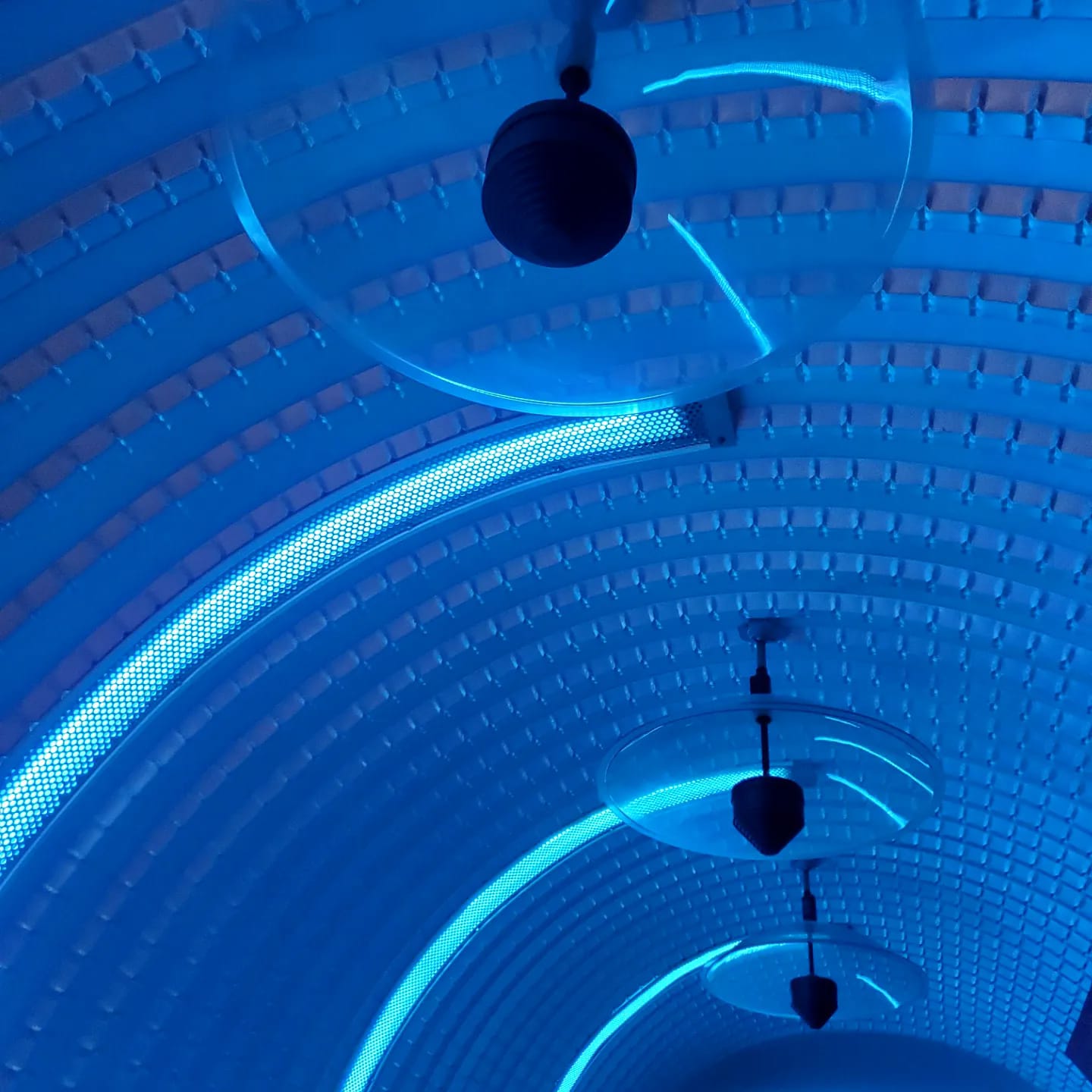 435712438_919497253286382_7362381539387249962_n