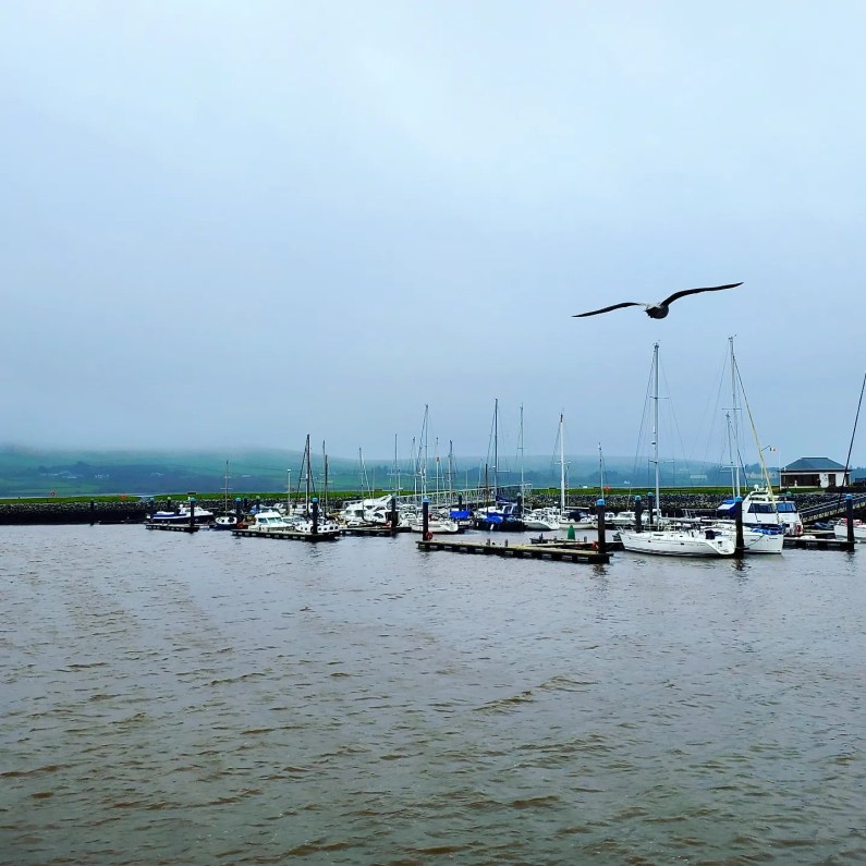 a431859841_902058961696878_6768668904441153483_n