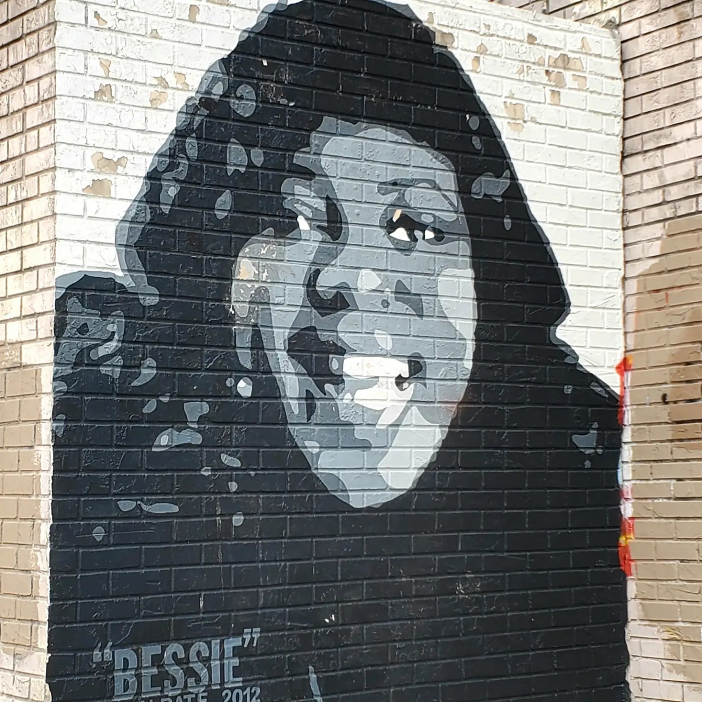 439942110_929102825659158_9031616408081027232_n