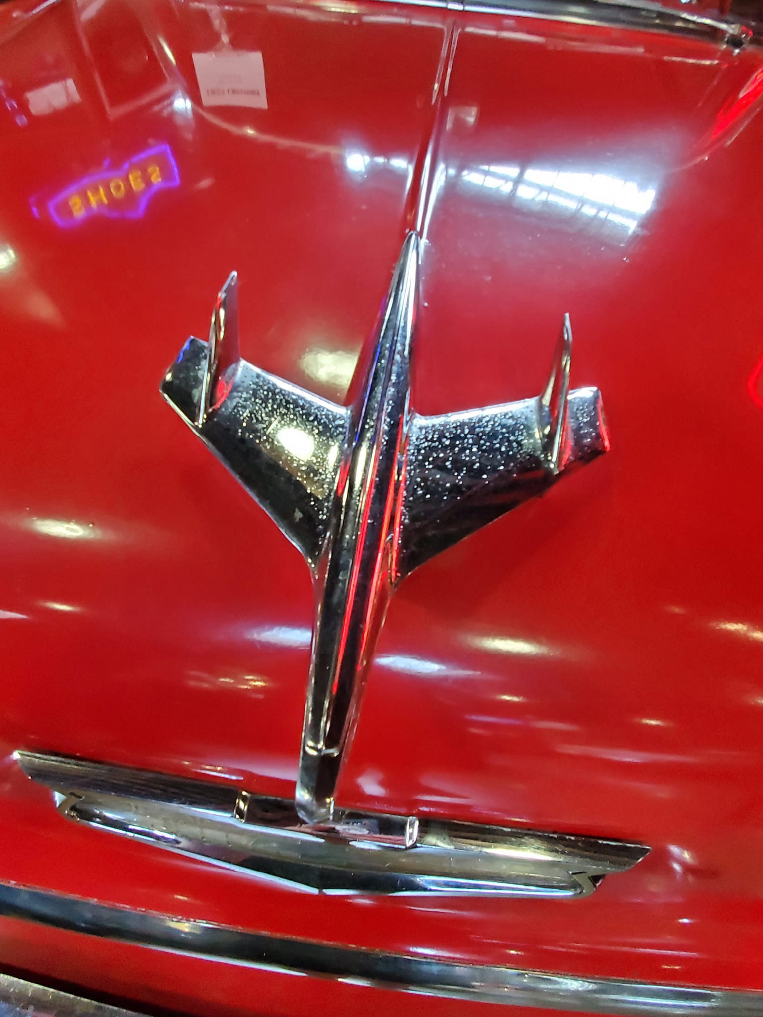 441496774_941504421085665_1214540622548045293_n