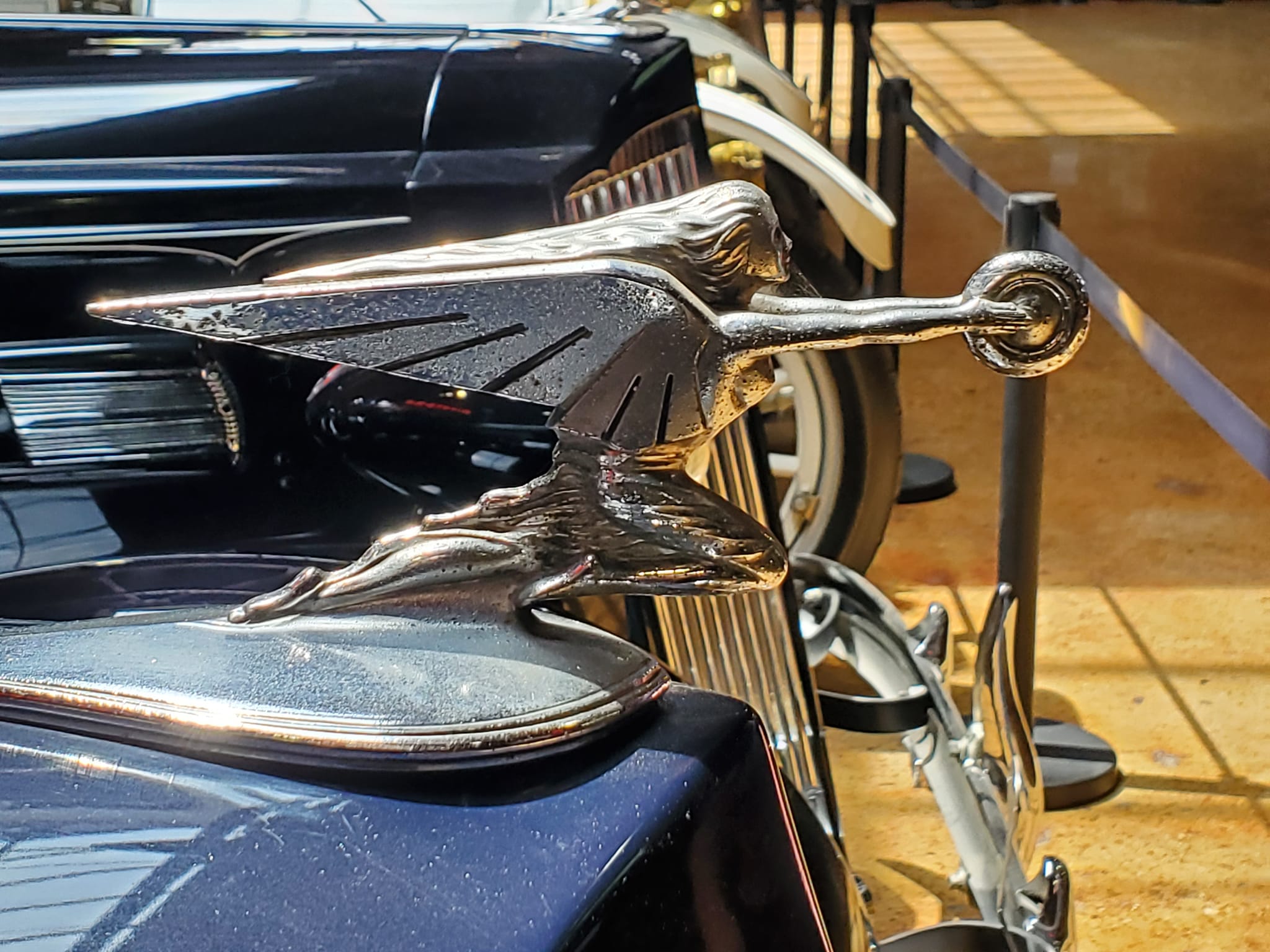 444485062_941503341085773_9005675904664278462_n