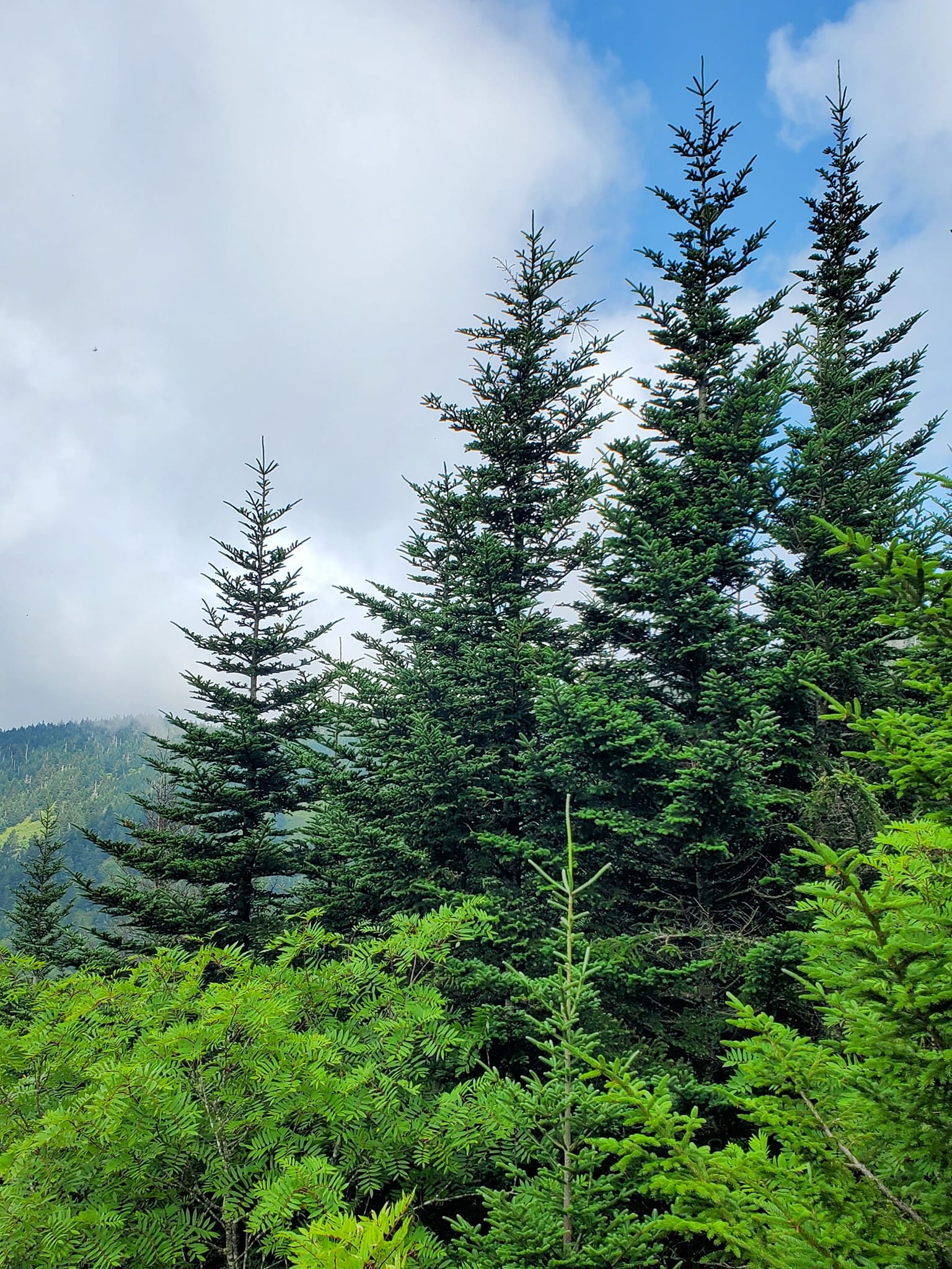 454555951_993086842594089_2868641874645998748_n