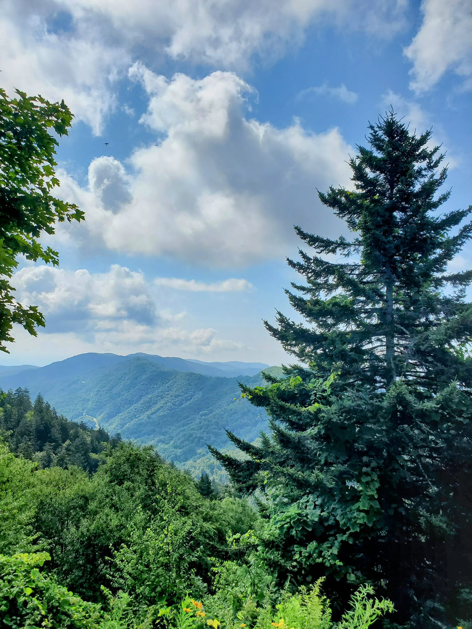 454618288_993086899260750_5085045486707672343_n