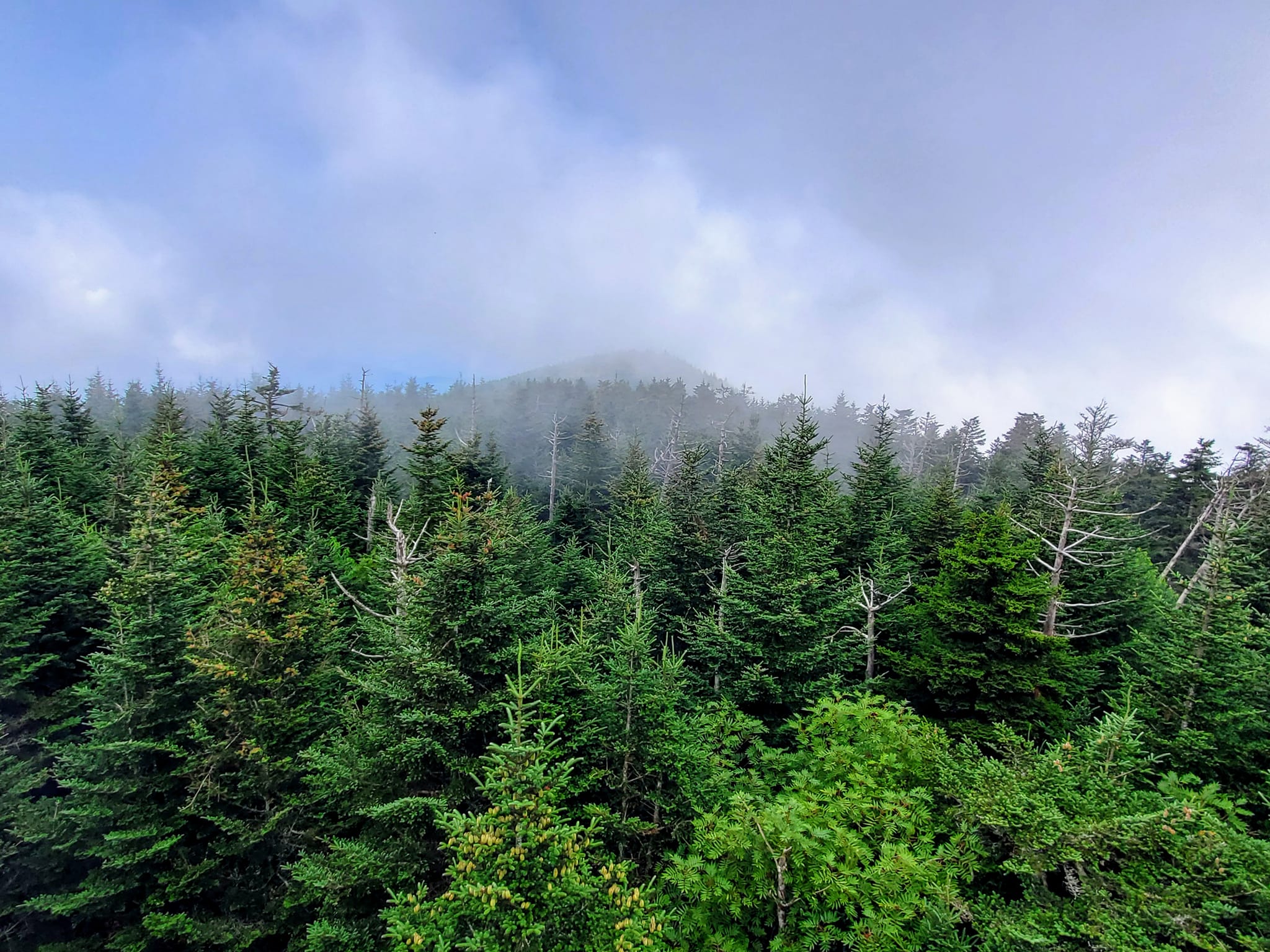 454920223_993086612594112_1697993406224760813_n