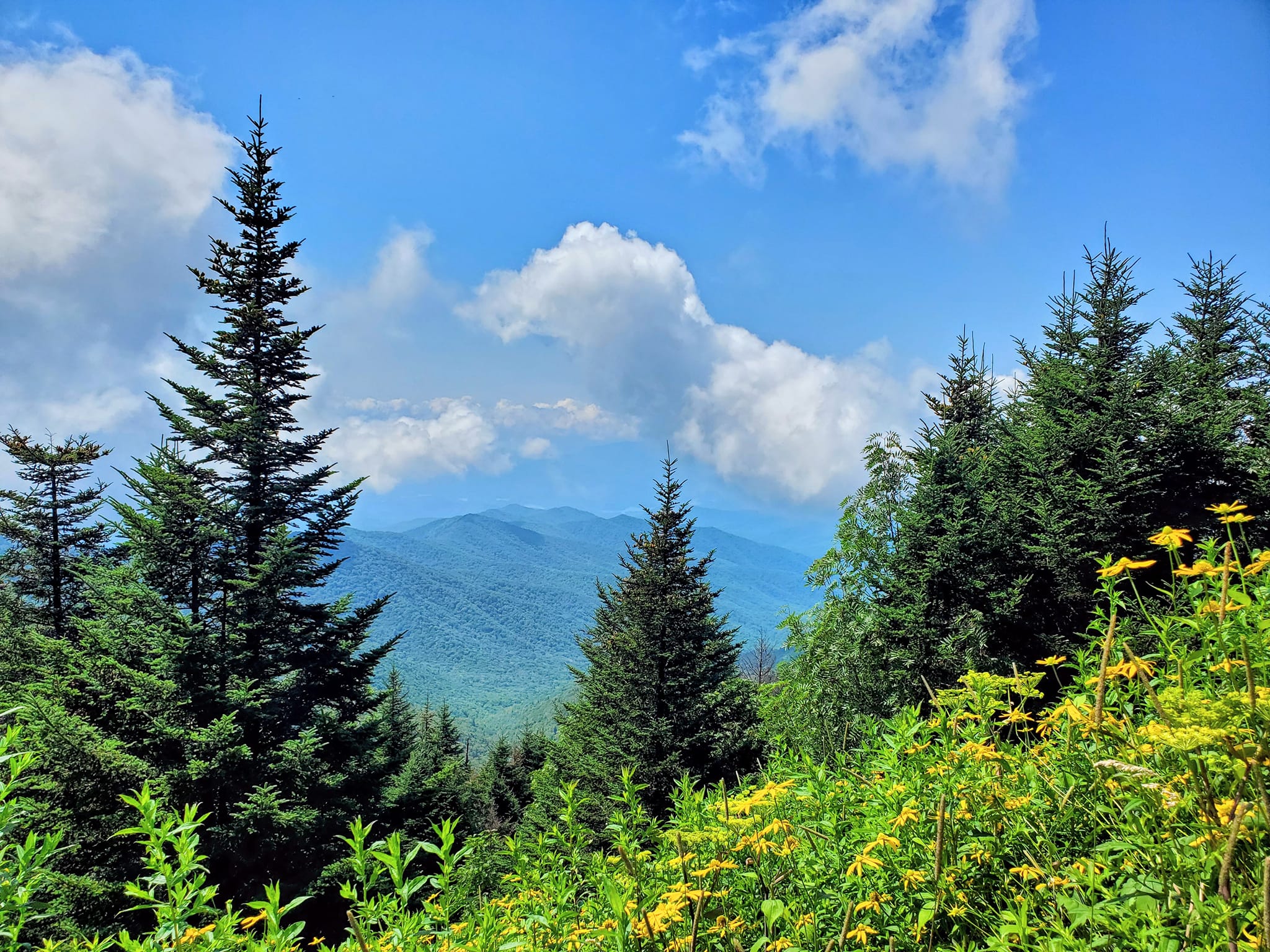 455112073_993086555927451_7616097428274089620_n