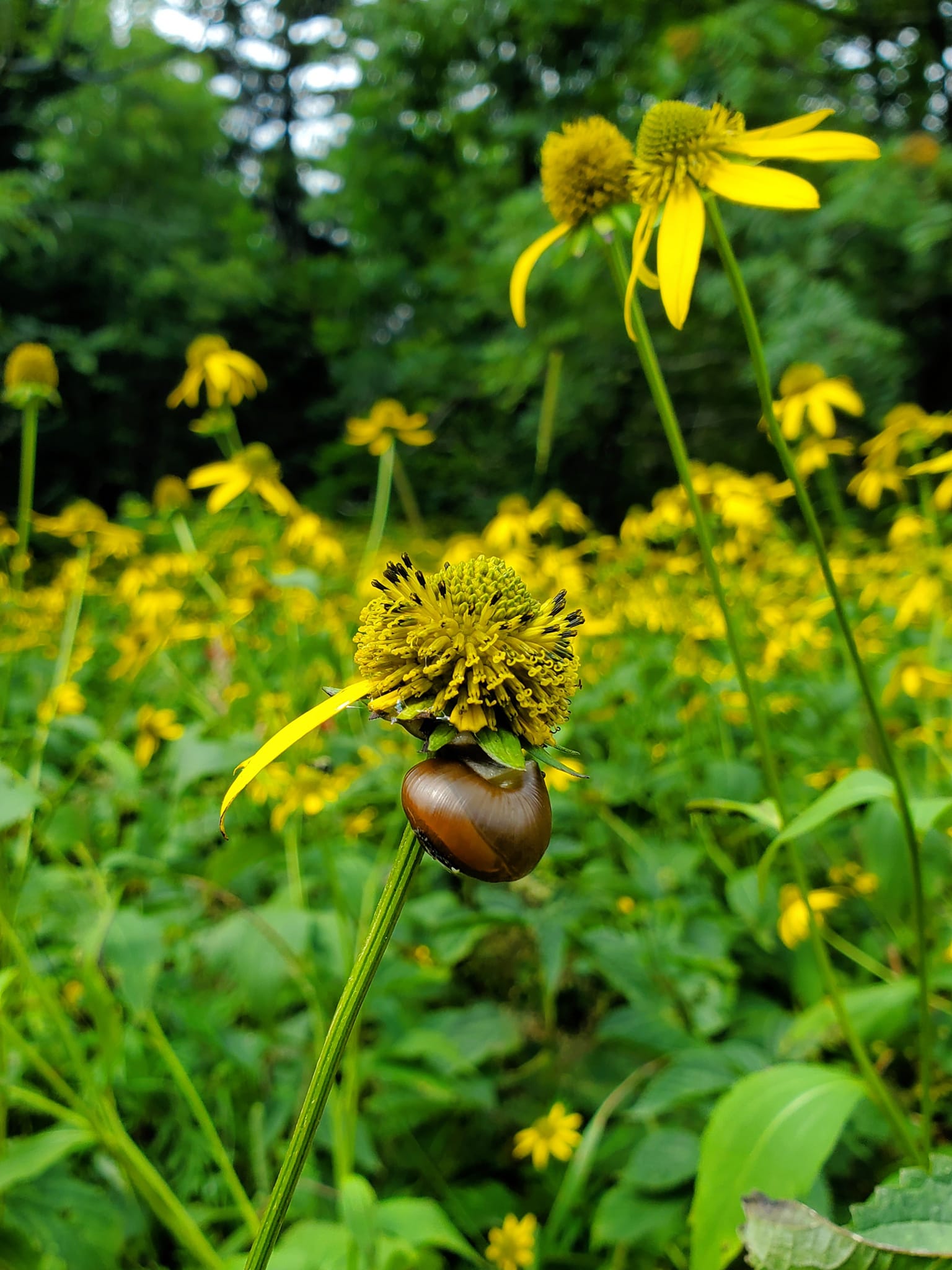 455171453_993086732594100_3363262927627221566_n