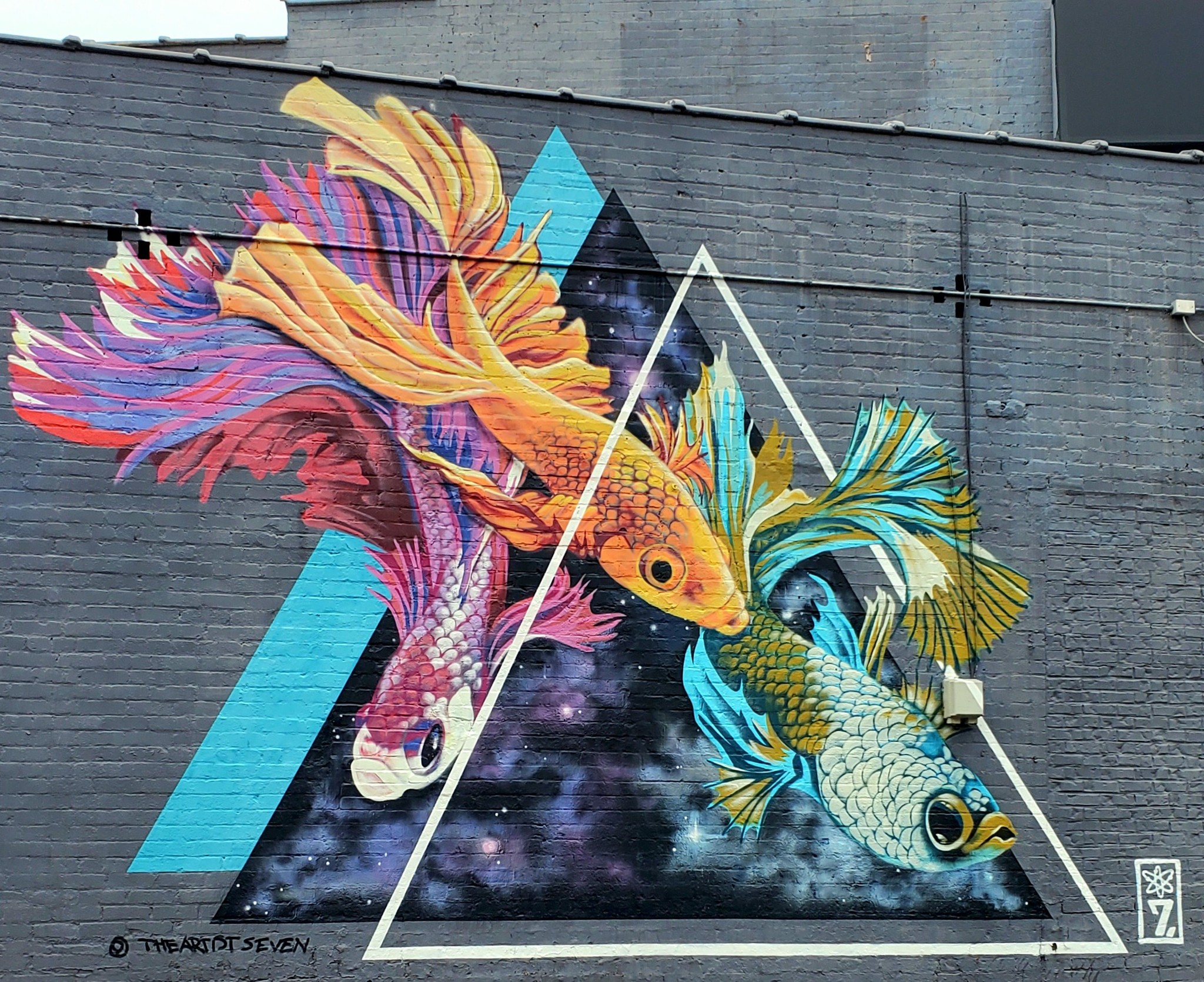 471251157_1095219029047536_4929367514422201401_n