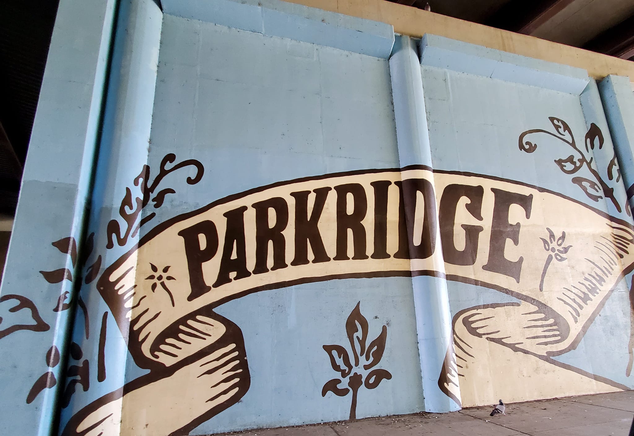 354464839_750887443480698_5115480571004546422_n