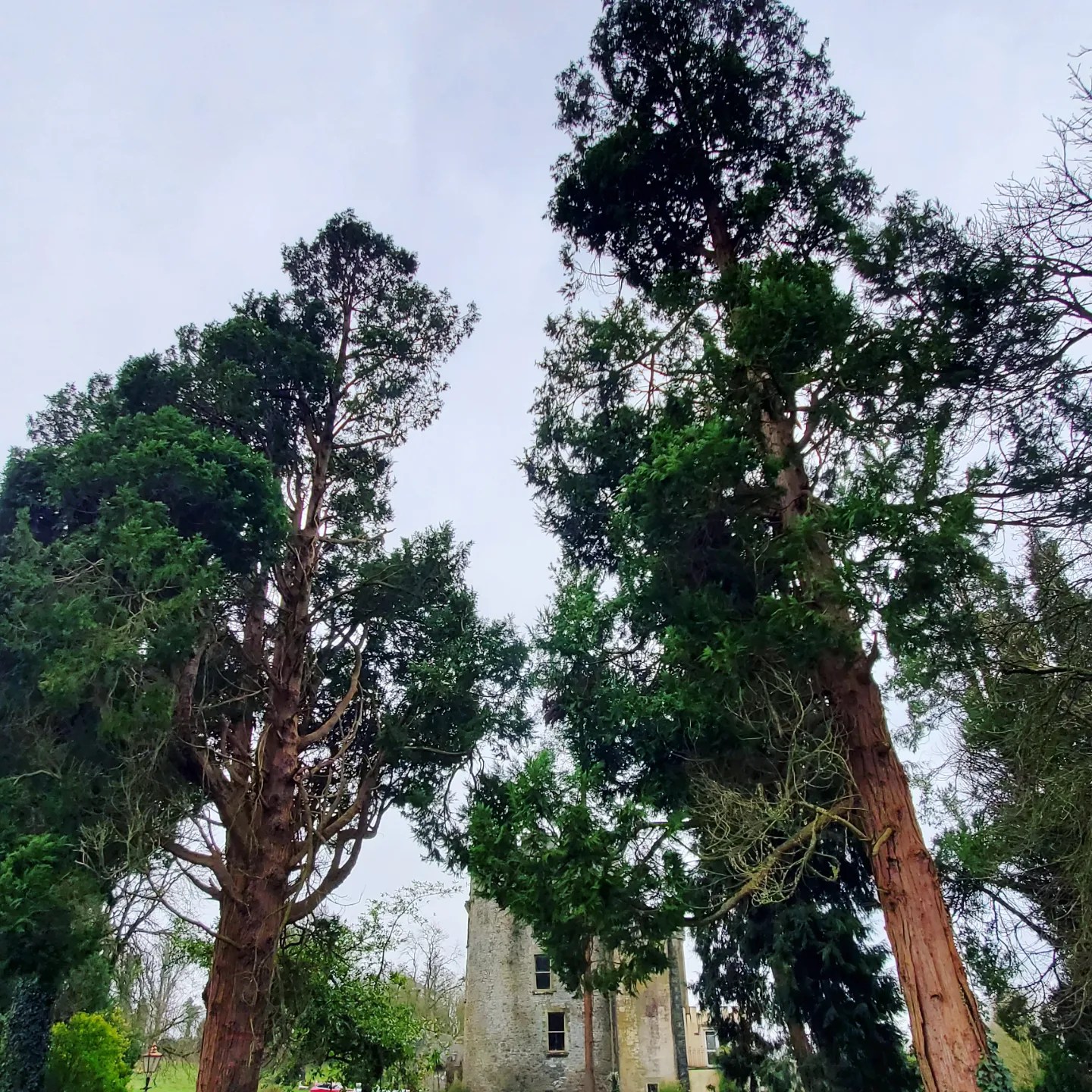 431211935_900557265180381_6533842306956147380_n