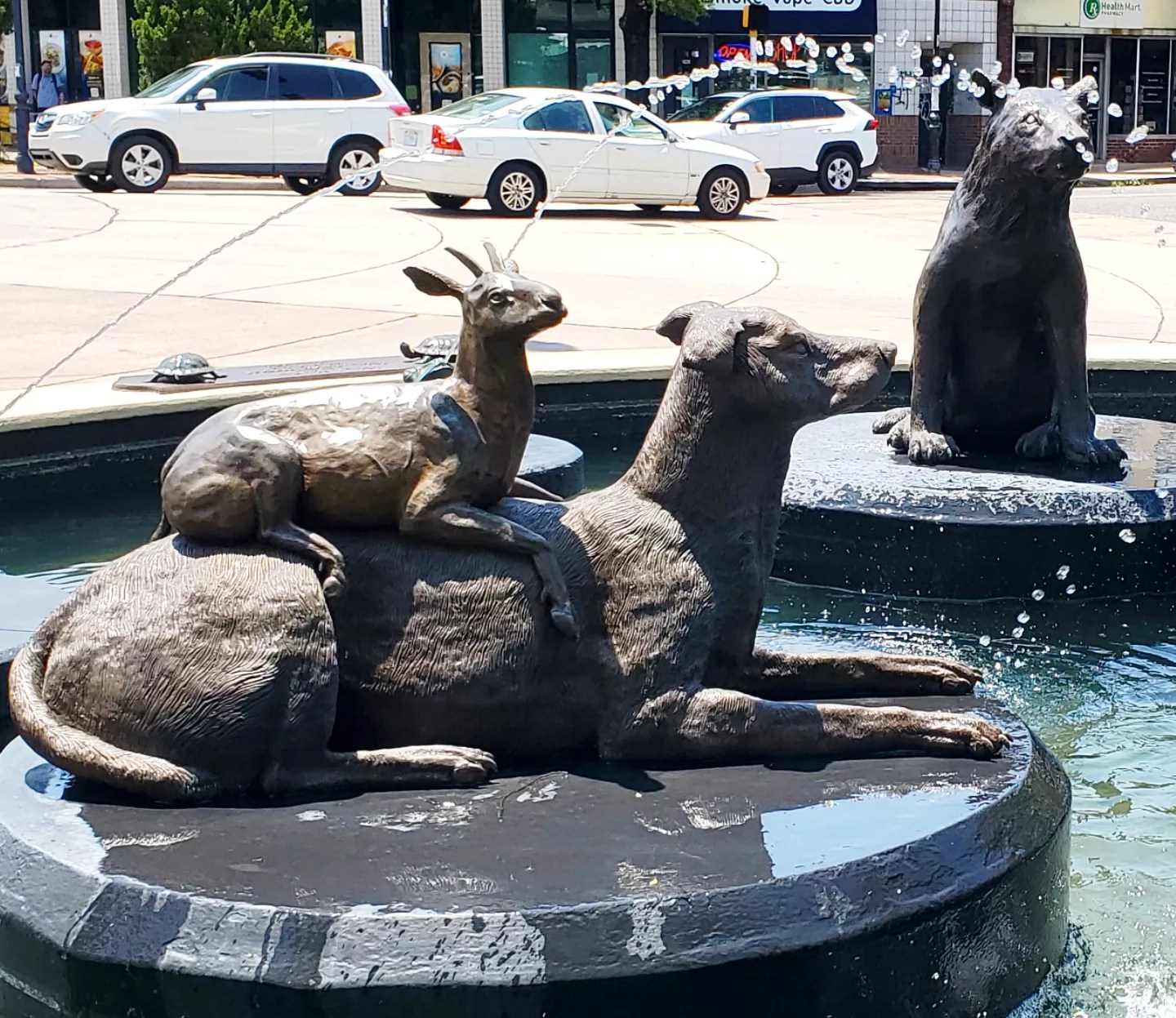 445026737_950860113483429_2120176354436887995_n