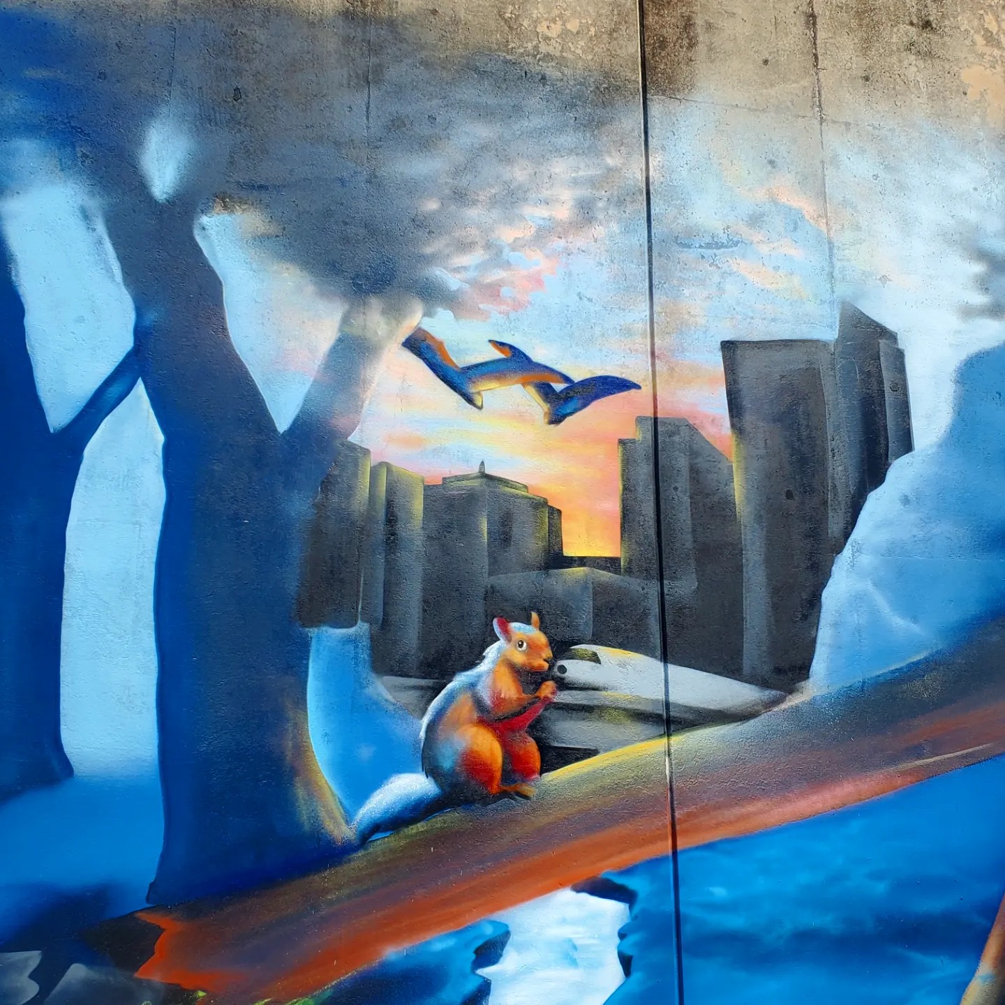 445419149_948643253705115_1857499362529856770_n