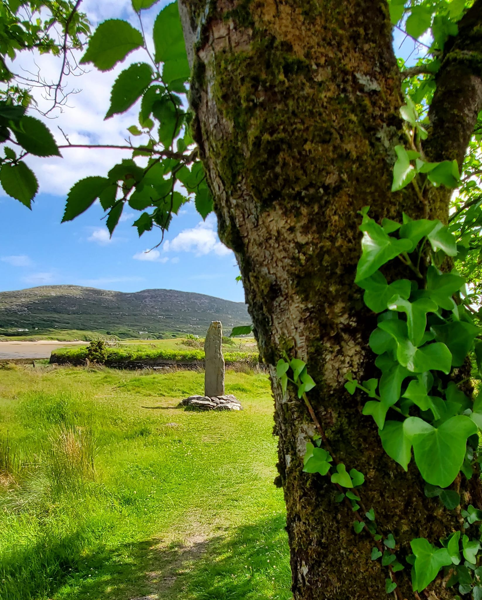 448473218_959319265970847_1018710519240641020_n