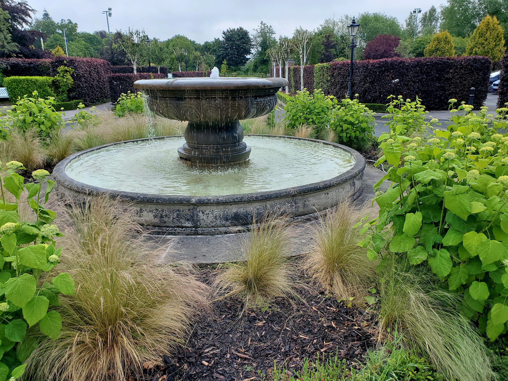 448539763_959263482643092_2345070017016112821_n