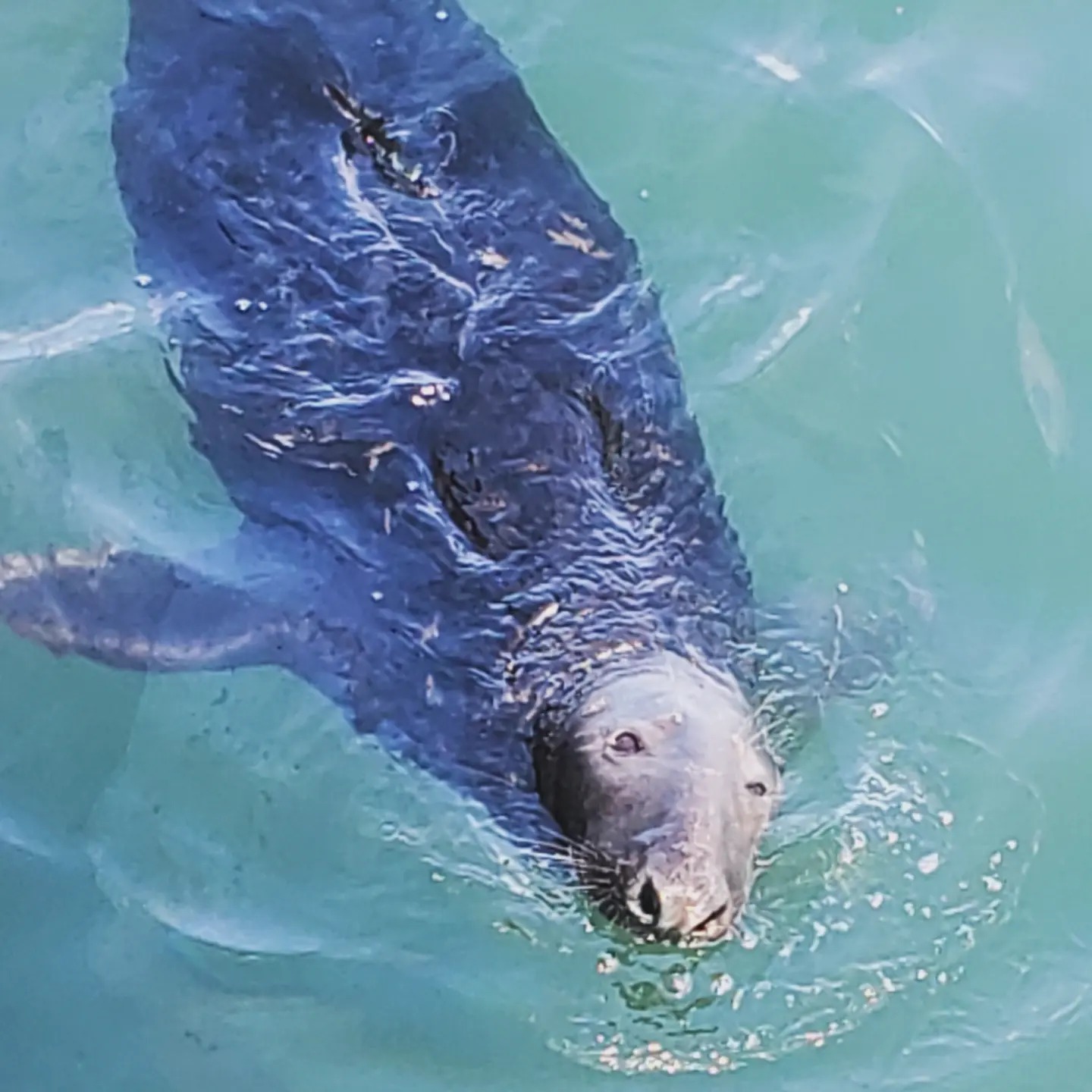 448644759_959795249256582_6784810820720209007_n