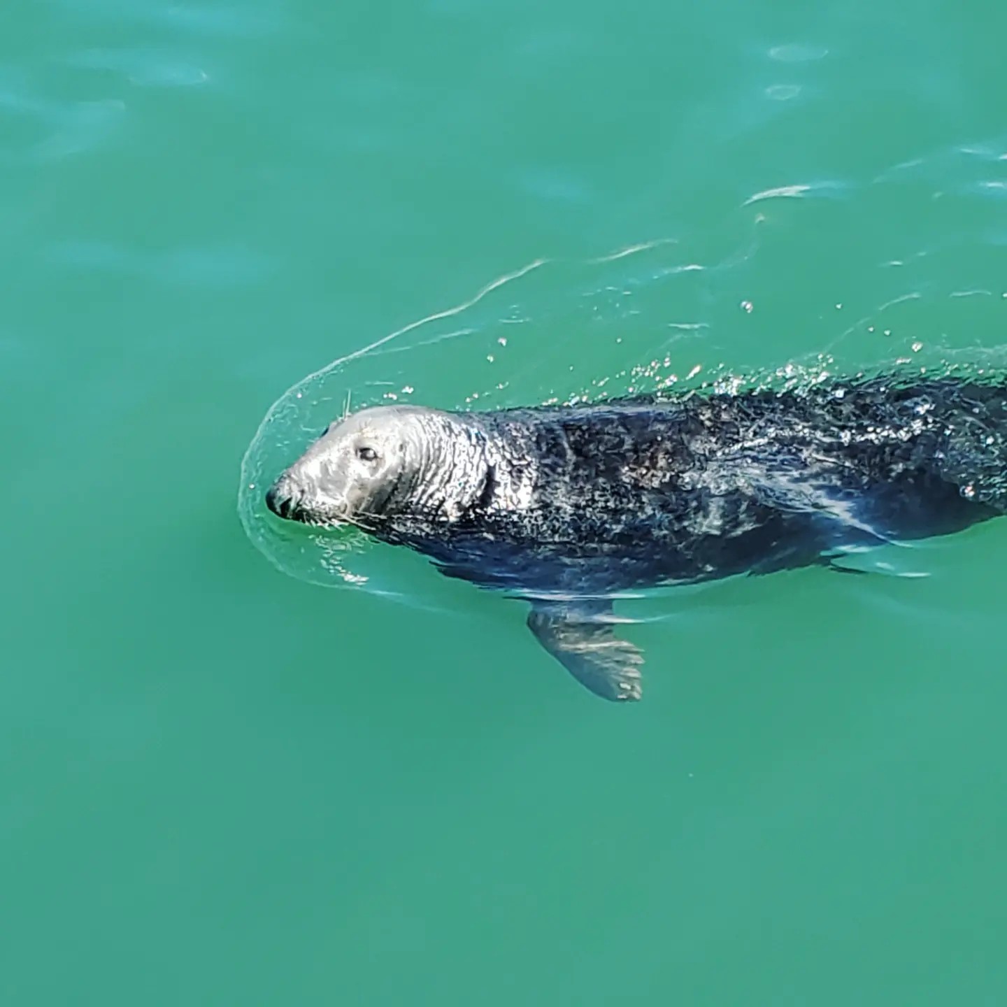 448660826_959795239256583_6049975464949004414_n