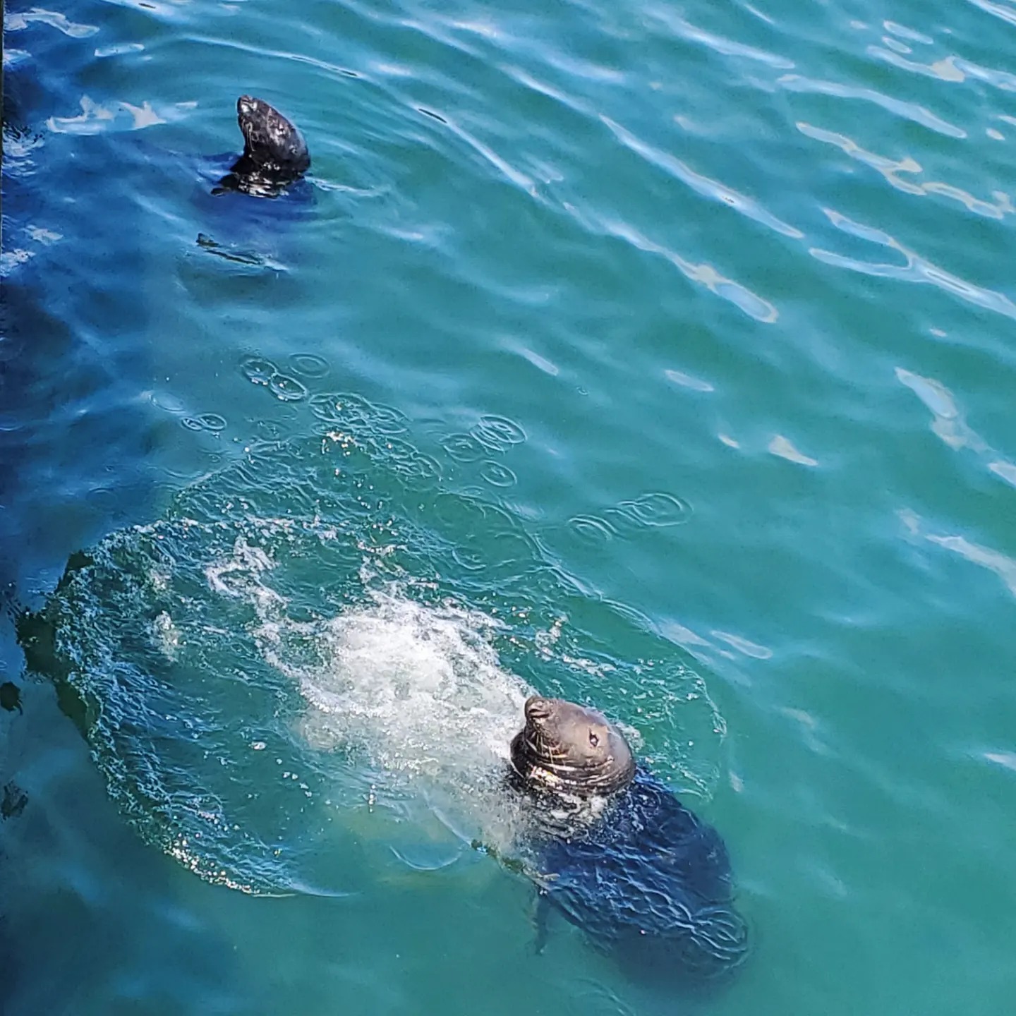 448663428_959795242589916_9167722955204806594_n