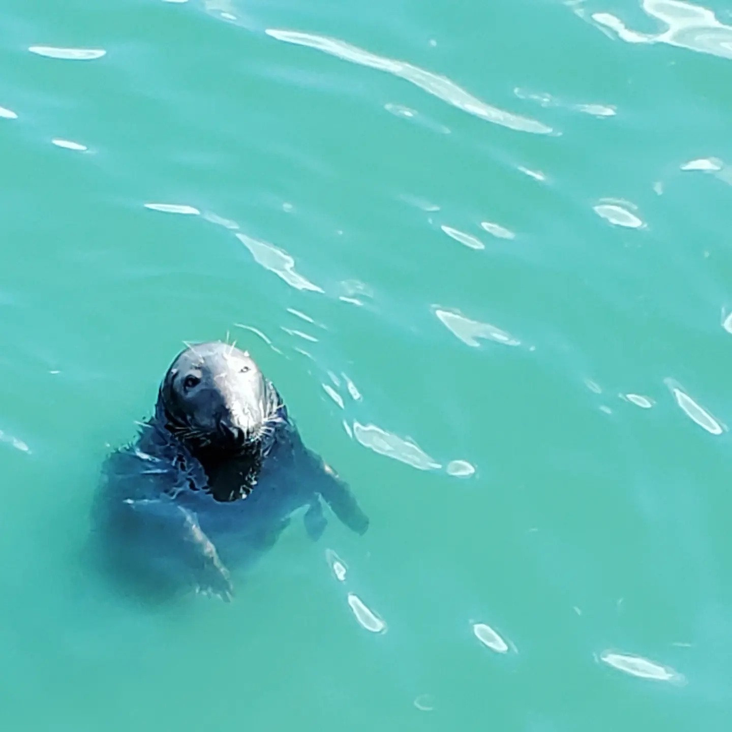 448664686_959795235923250_10812146142814125_n