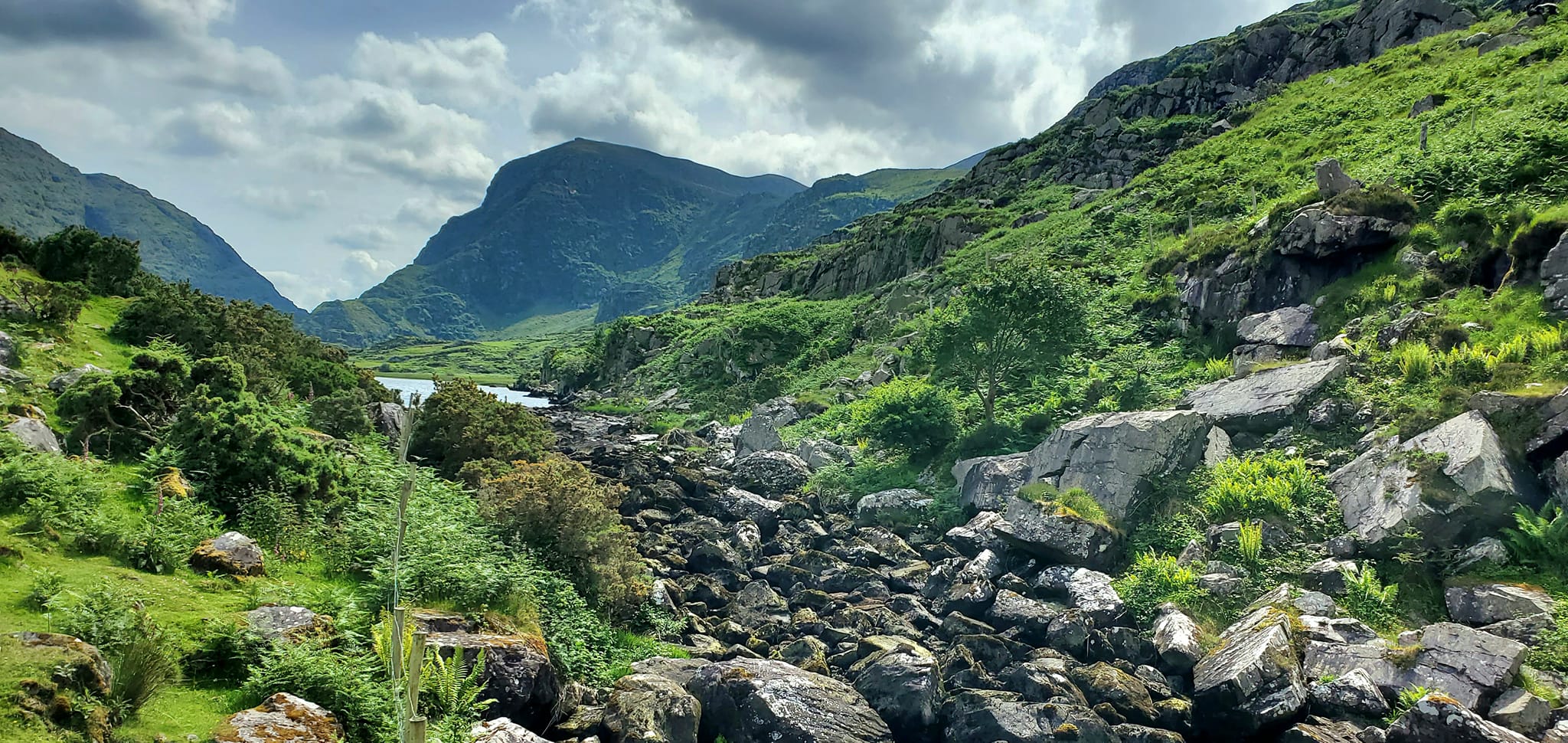 448723645_960585485844225_2725495645228752813_n