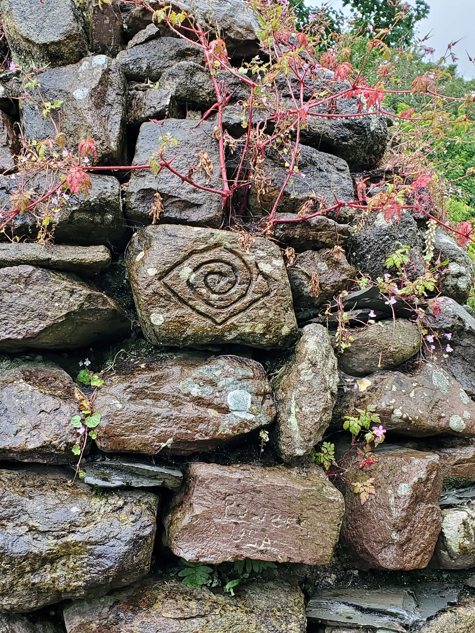 448726237_959296219306485_3781548325760687321_n