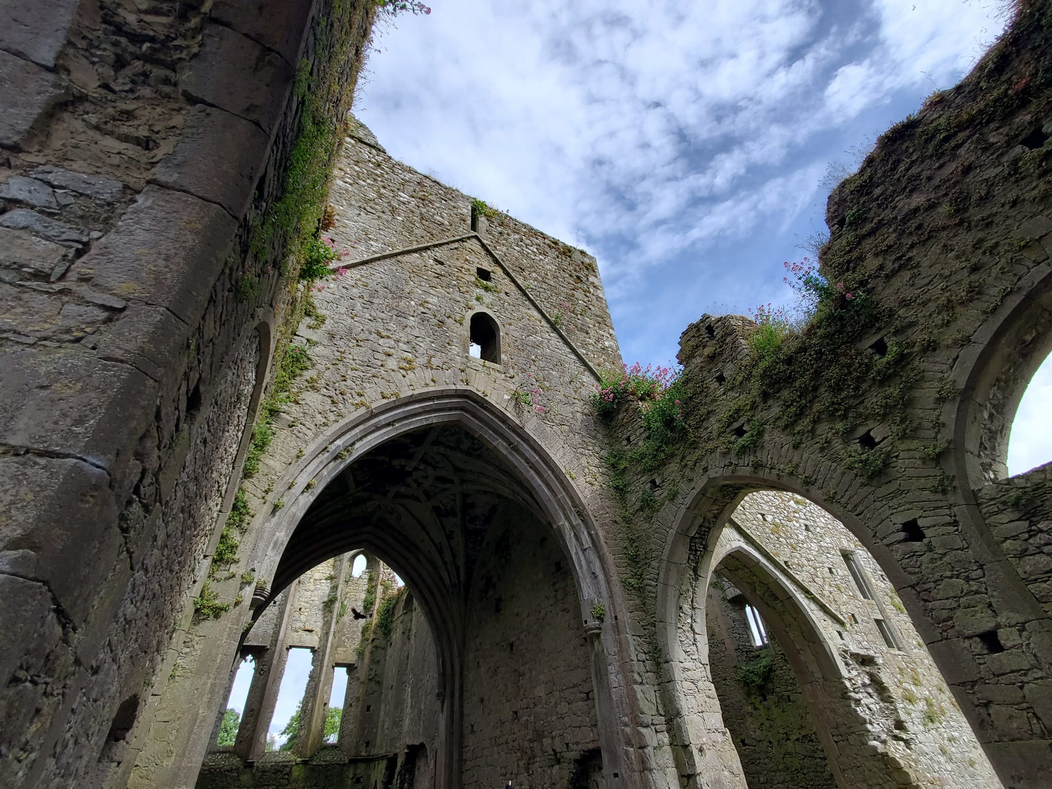 A448390100_959292425973531_1027797194210913377_n