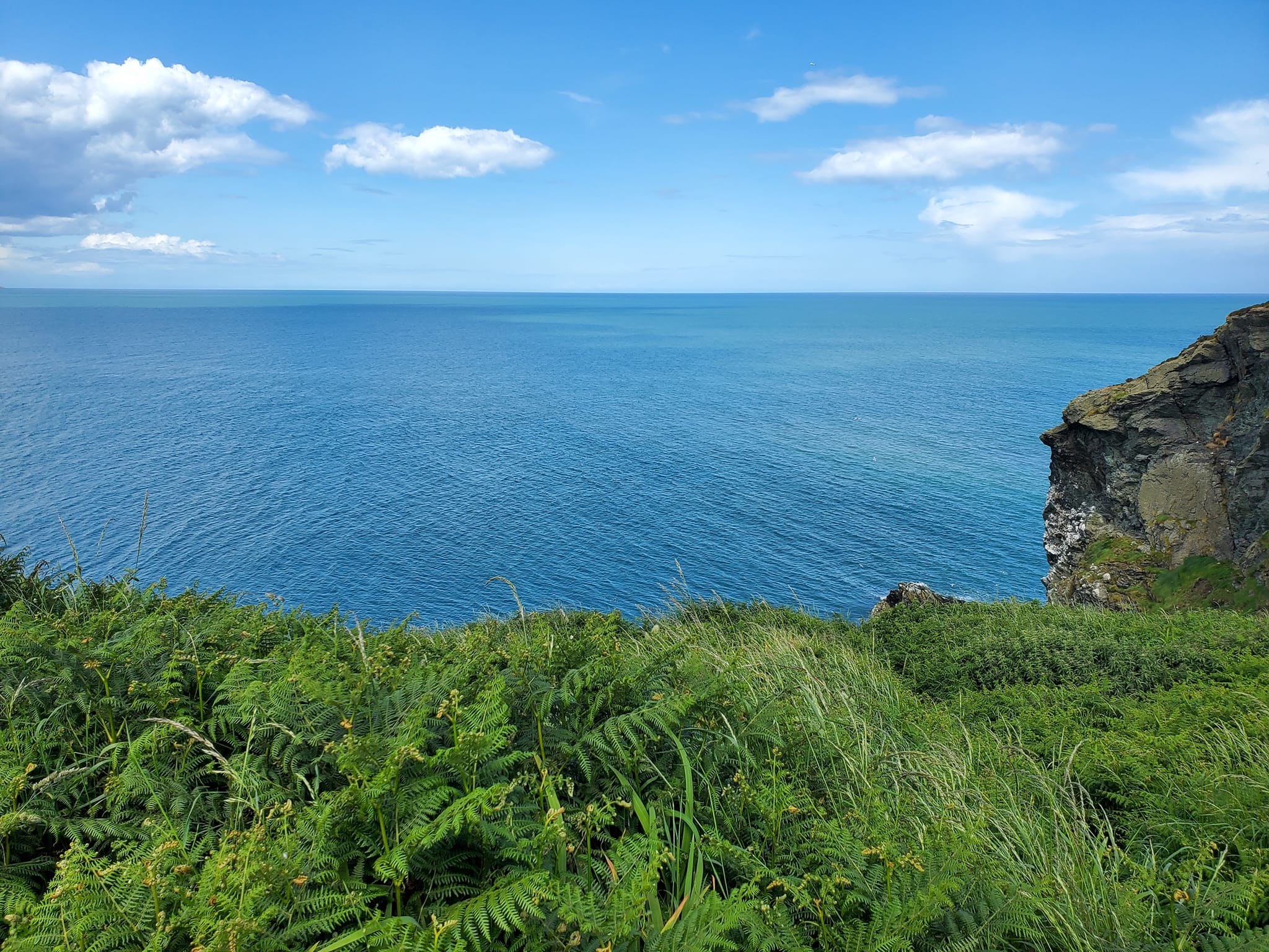 A448471283_959302659305841_7411257815234795141_n