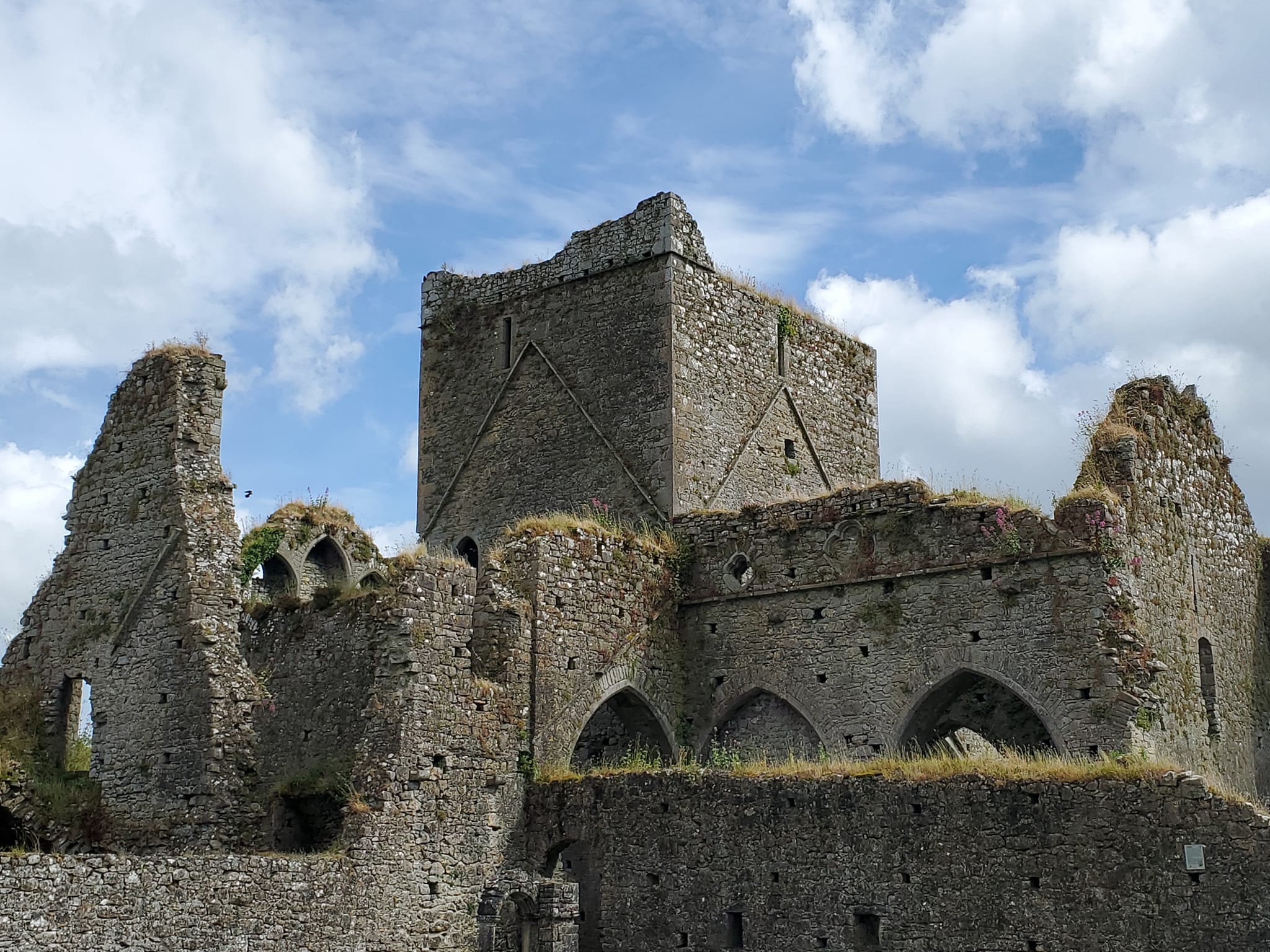 a448536796_959293812640059_1708574509472707931_n