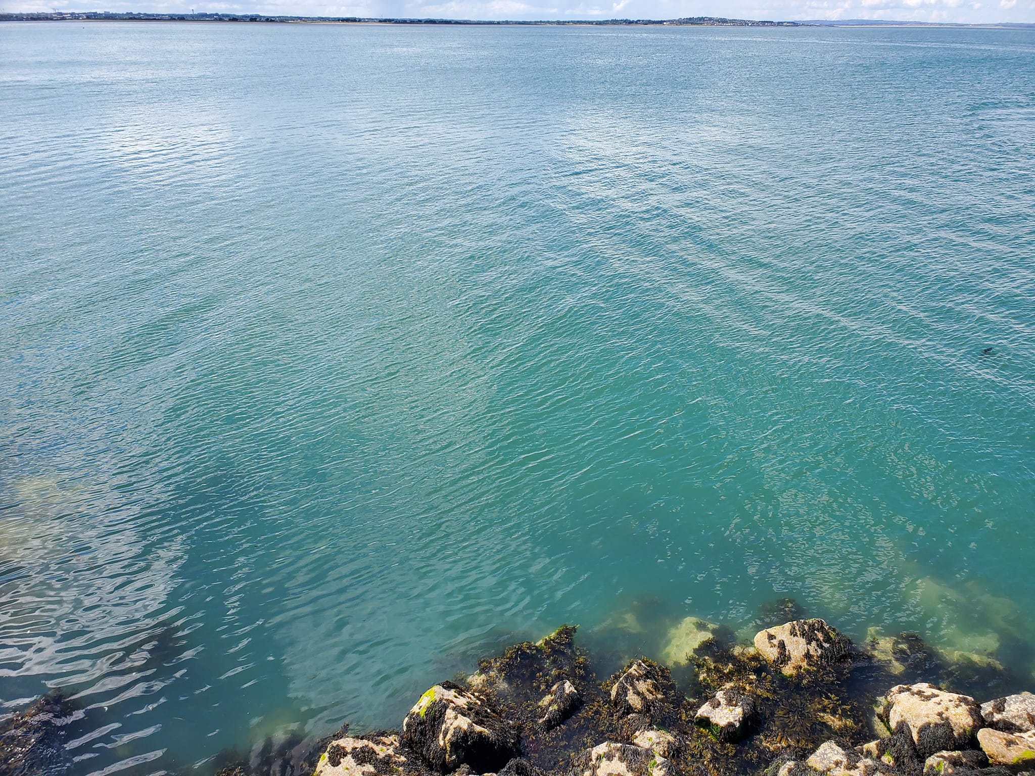 A448539068_959300445972729_3054741335703395341_n