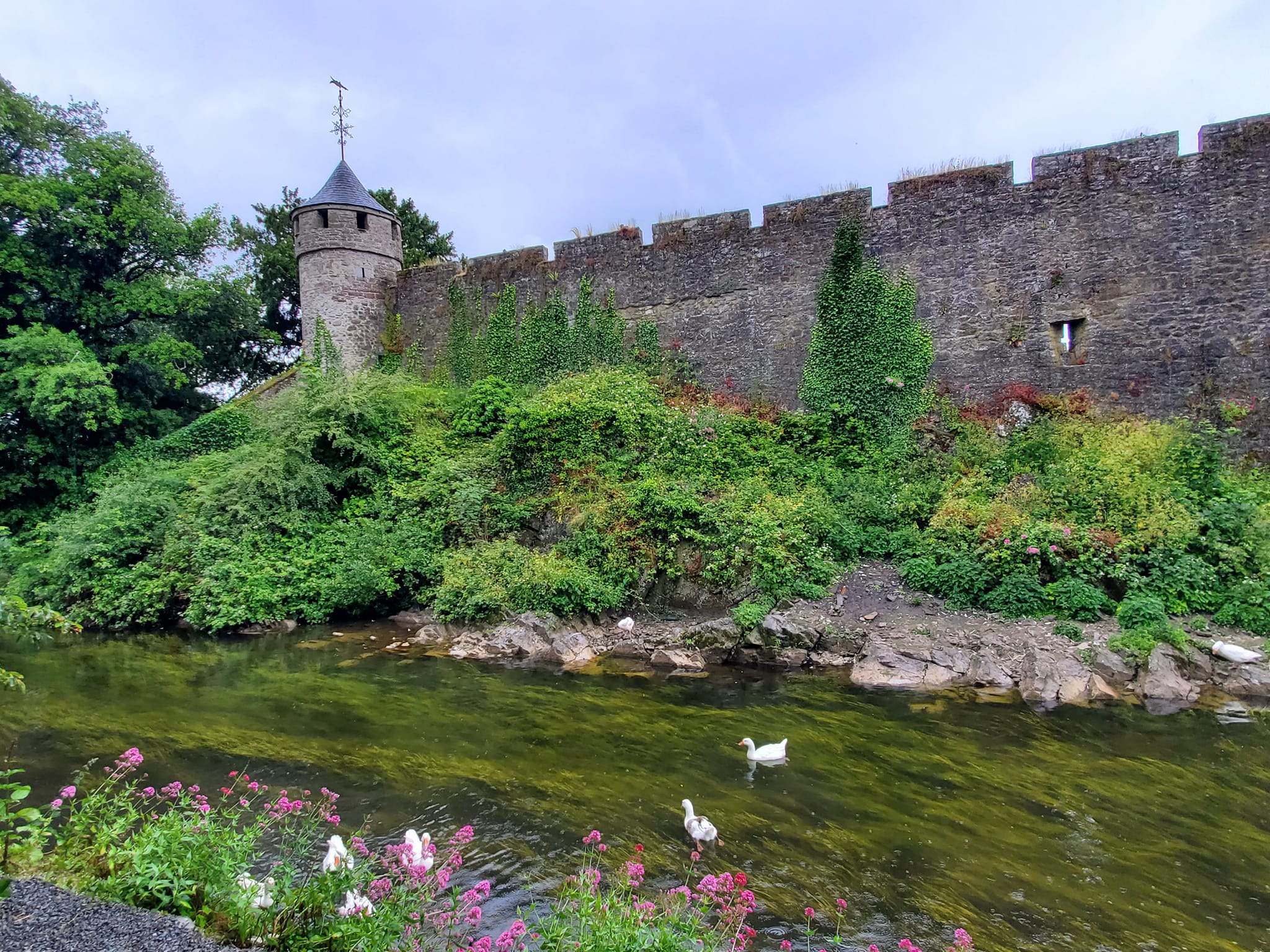 A448541093_959295729306534_3941350119298437048_n