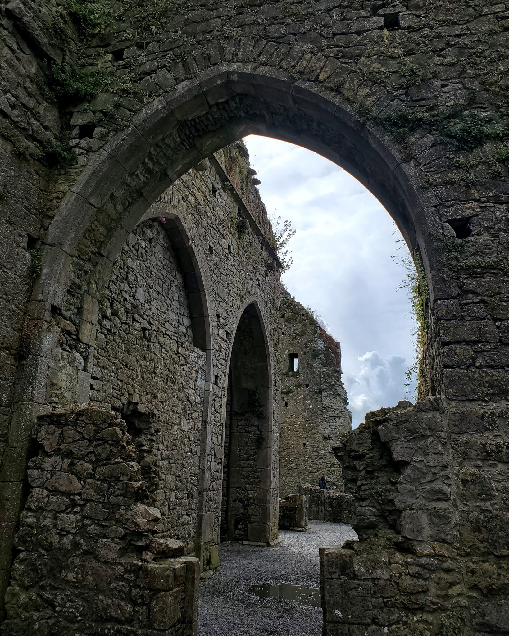 A448590228_959291149306992_4412273336276696780_n