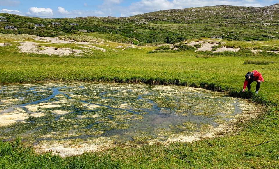 A448643557_960310342538406_2099821549271567990_n