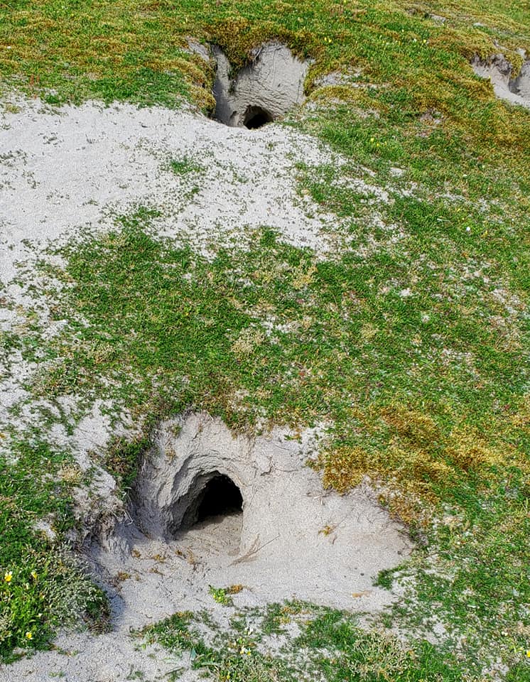 A448643557_960310372538403_5225354559133131433_n