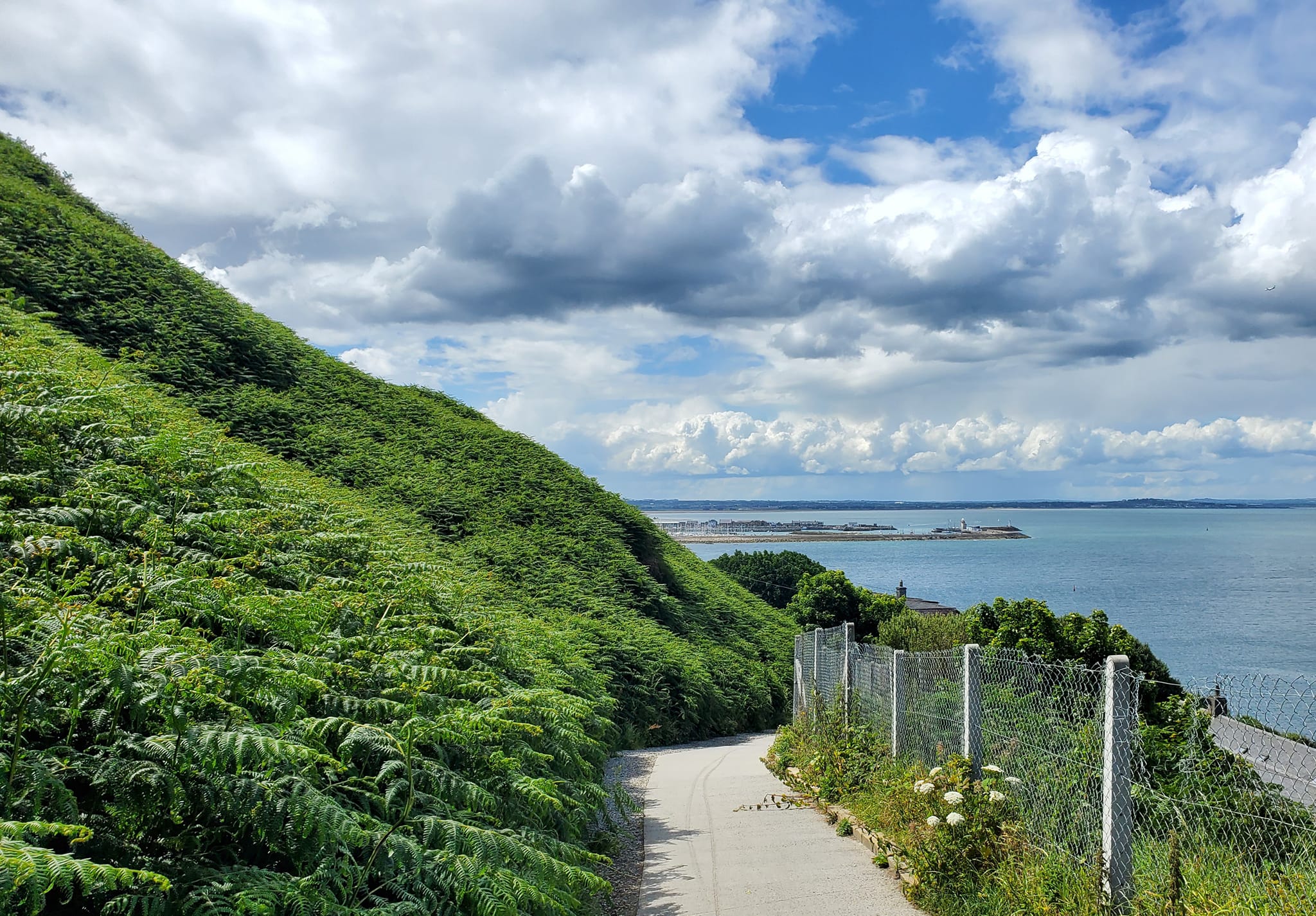 A448663189_959302149305892_7653225655927840014_n