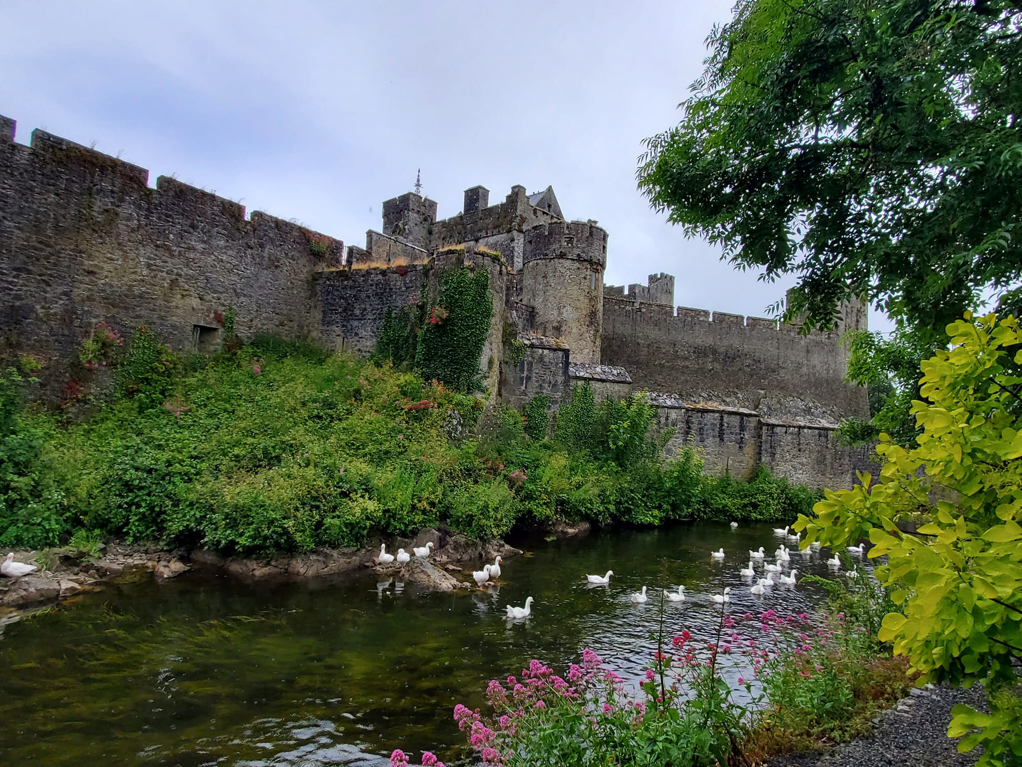 AAA448472601_959295675973206_2244605052831038095_n